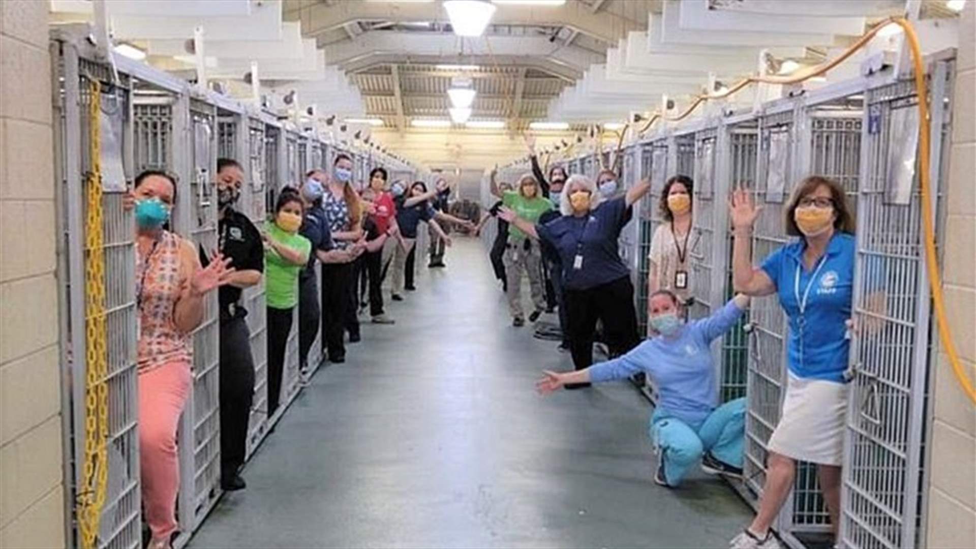 بسبب كورونا... مأوى للحيوانات يحتفل بإفراغ بيوت الكلاب بالكامل لأول مرّة في تاريخه (فيديو)