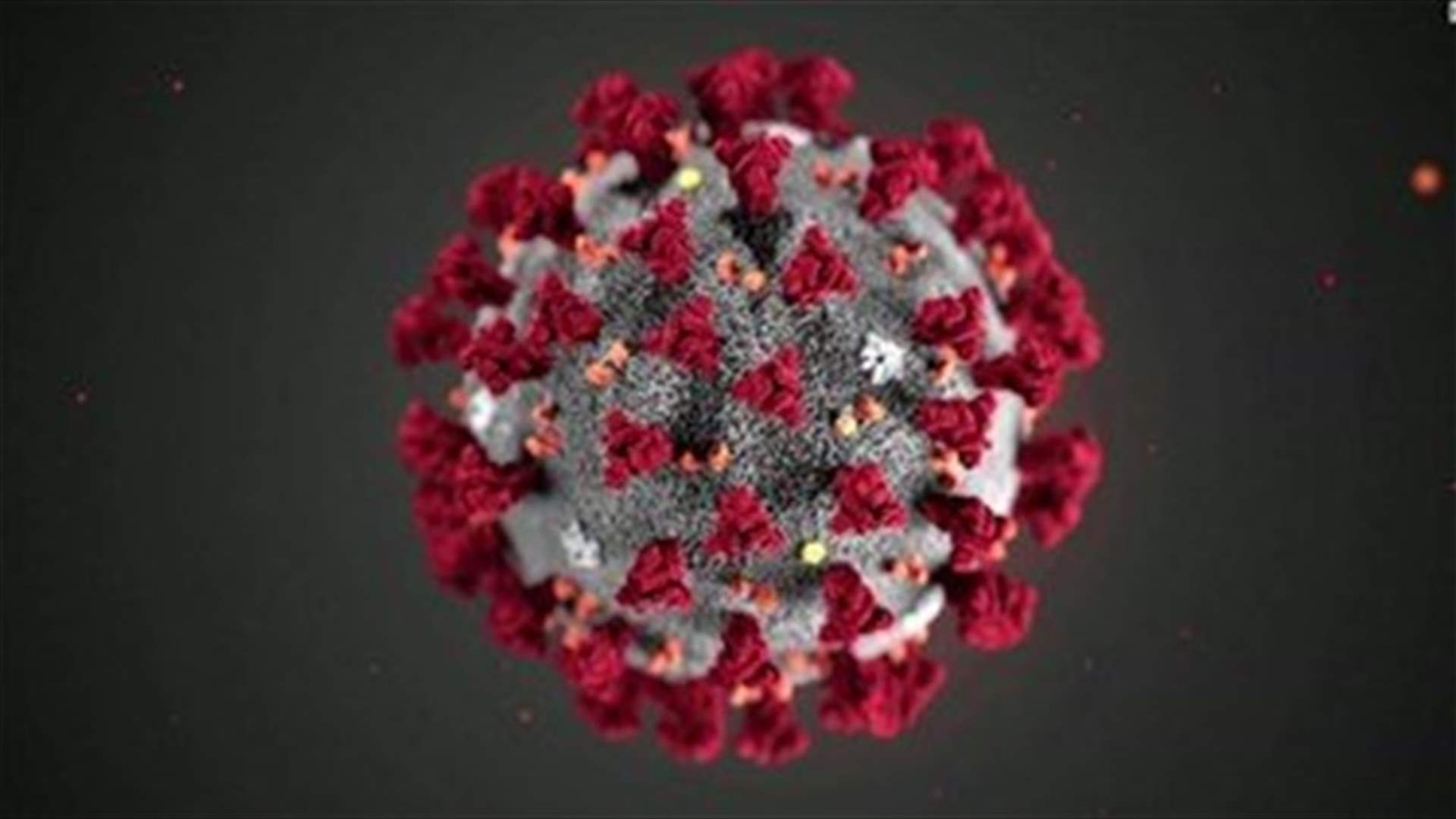 The daily report on coronavirus in Lebanon