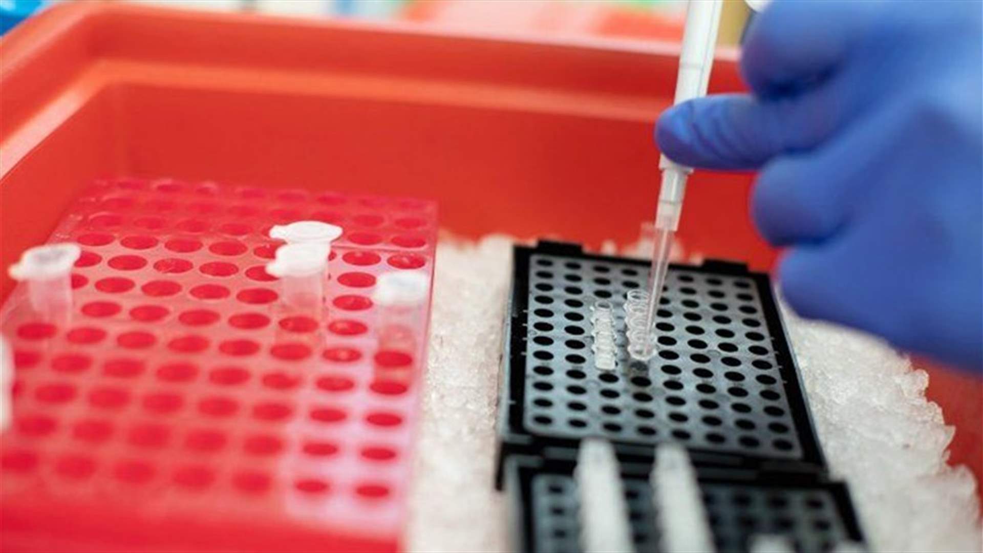 كيف جاءت نتائج فحوصات الـPCR في تنورين والبترون وشكا ؟