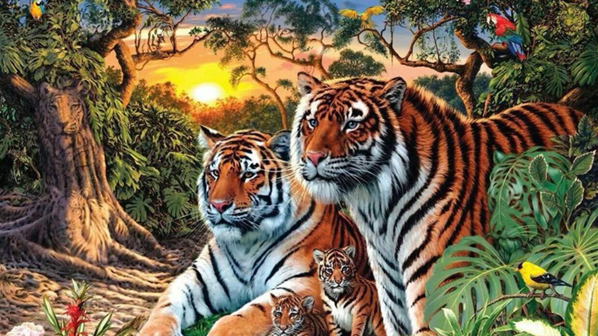 خدعة بصرية محيّرة... كم هو عدد النمور الذي يمكنكم رؤيته في هذه الصورة؟