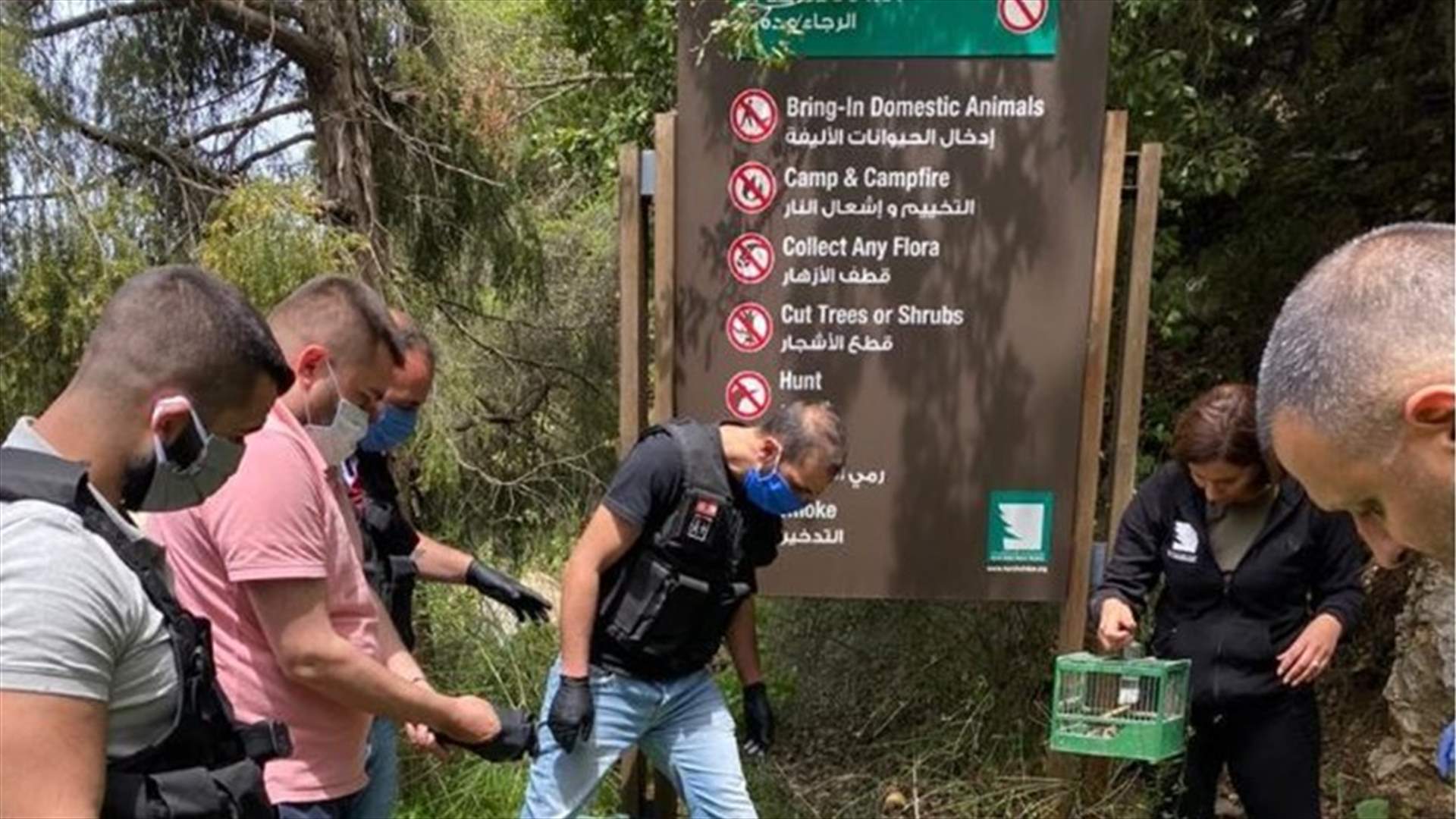 توقيف 4 سوريين في الكورة اصطادوا طيورا وعرضوها للبيع عبر الانترنت