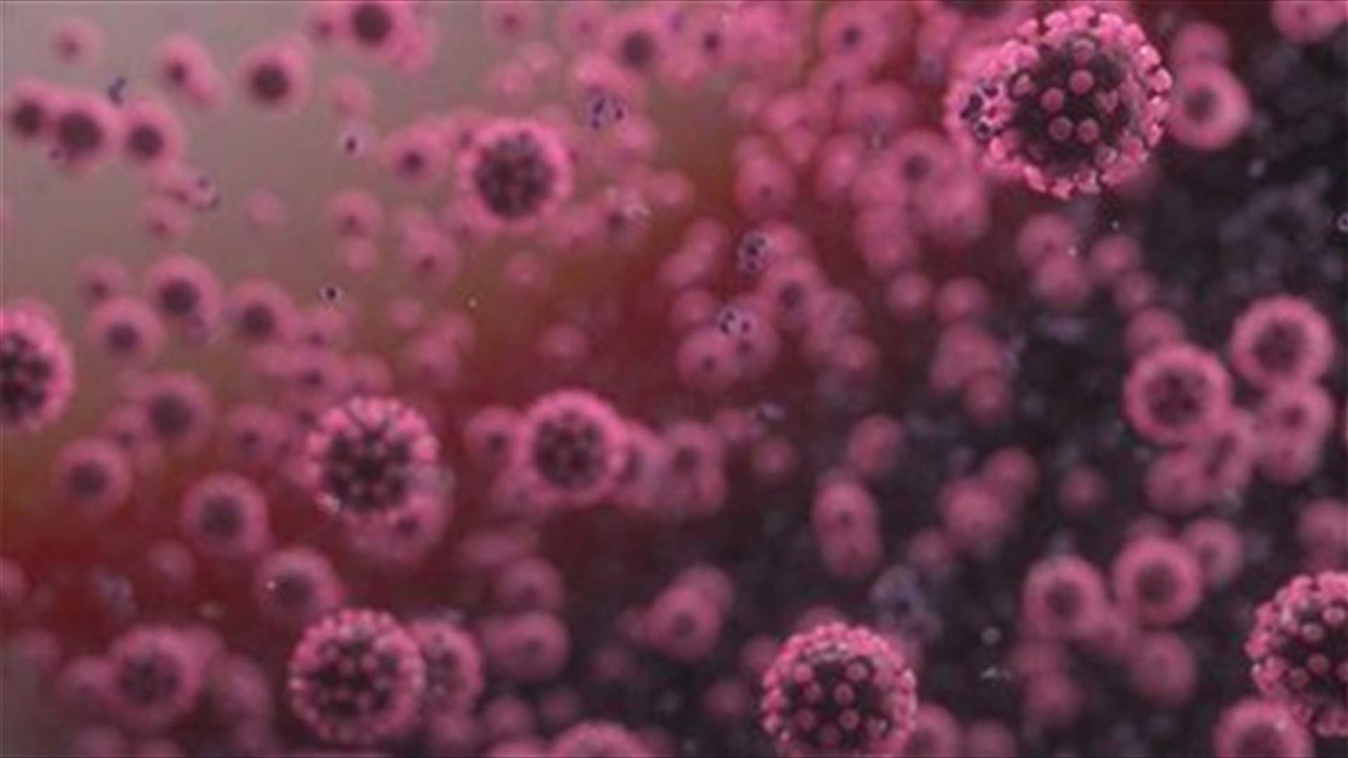 The daily report on coronavirus in Lebanon