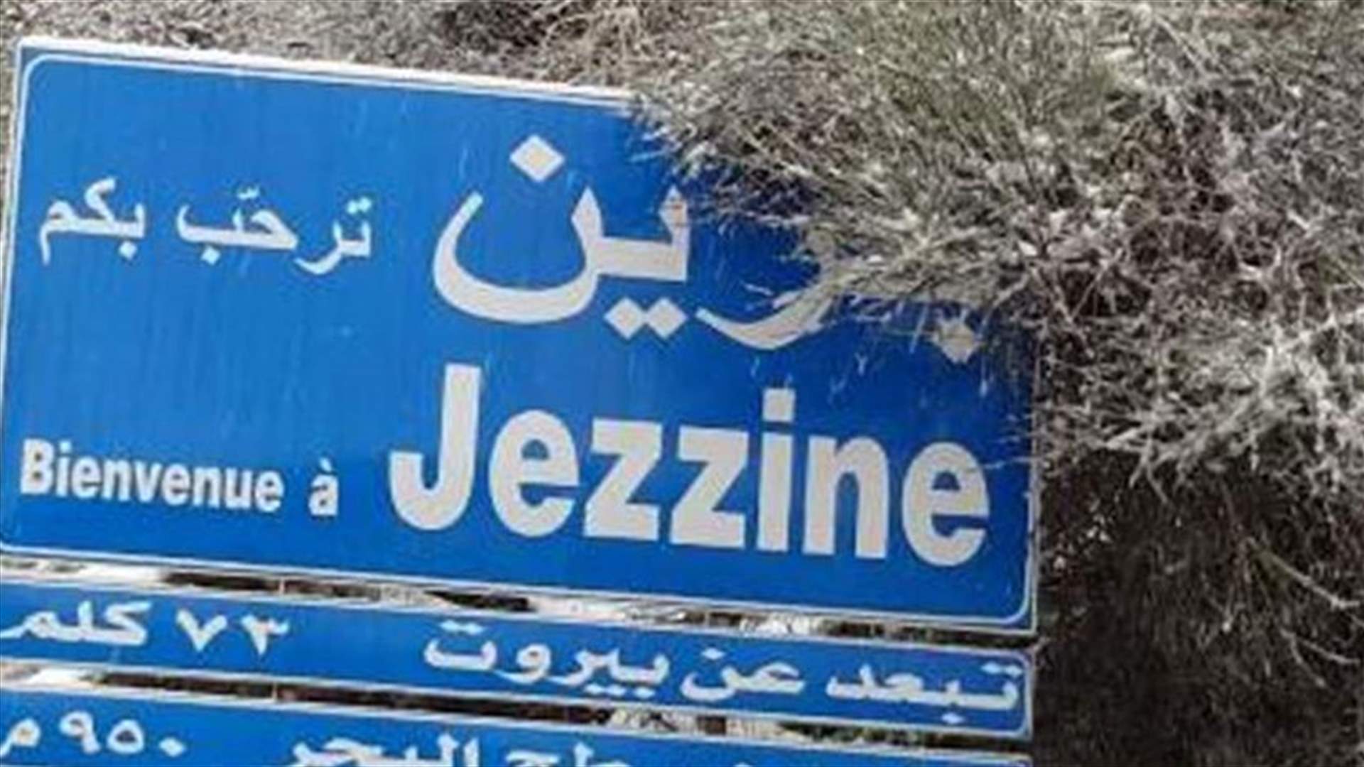 مفتشو الاقتصاد جالوا في جزين وسطروا محاضر ضبط