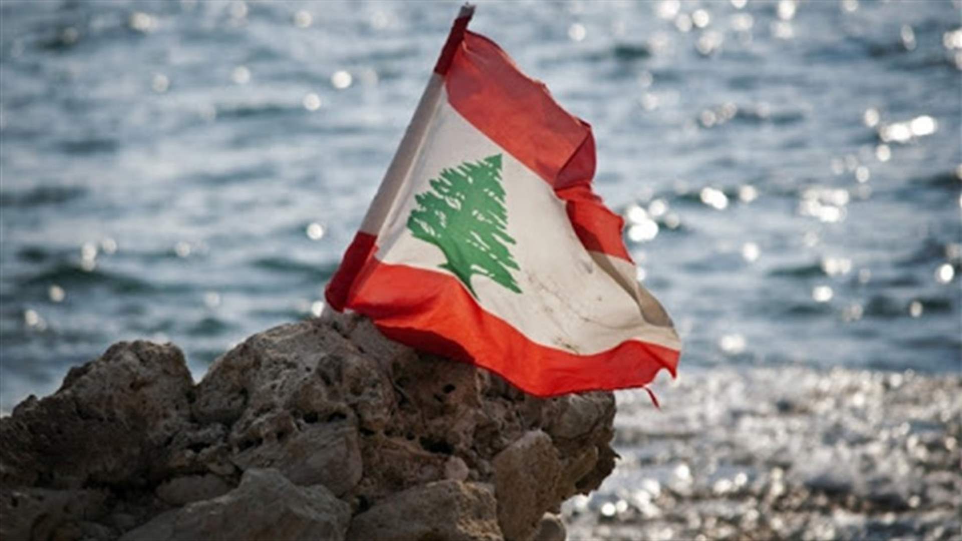نقباء المهن الحرة ورؤساء الصناديق المنشأة بقانون ورؤساء الجامعات والمدارس الخاصة للحكومة: لعدم التسرع بإقرار الخطة الاقتصادية