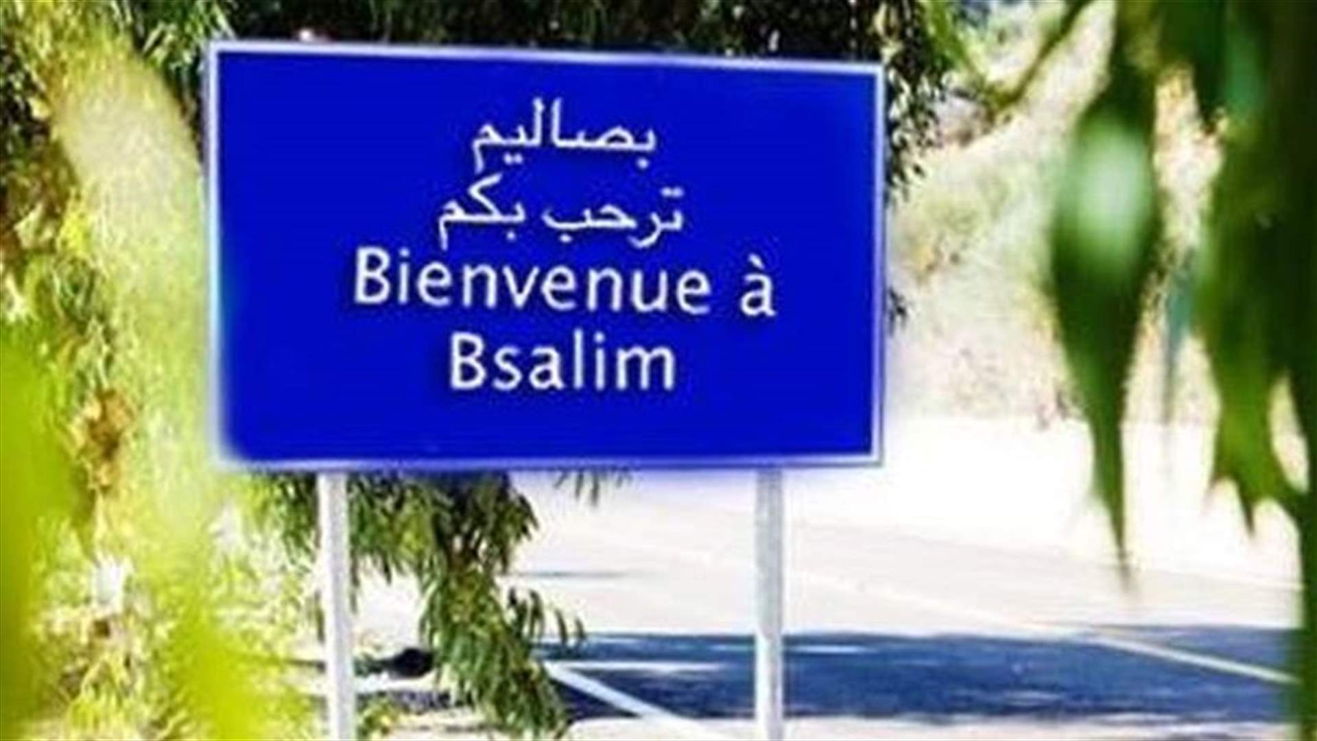 قضية تسميم الكلاب في بصاليم تابع... التعرف على الفاعل