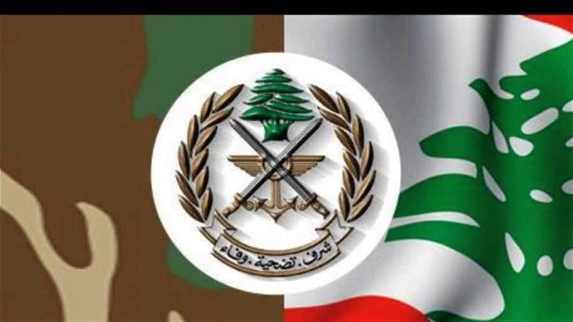 العثور على رمانة يدوية في أحد بساتين مجدليا
