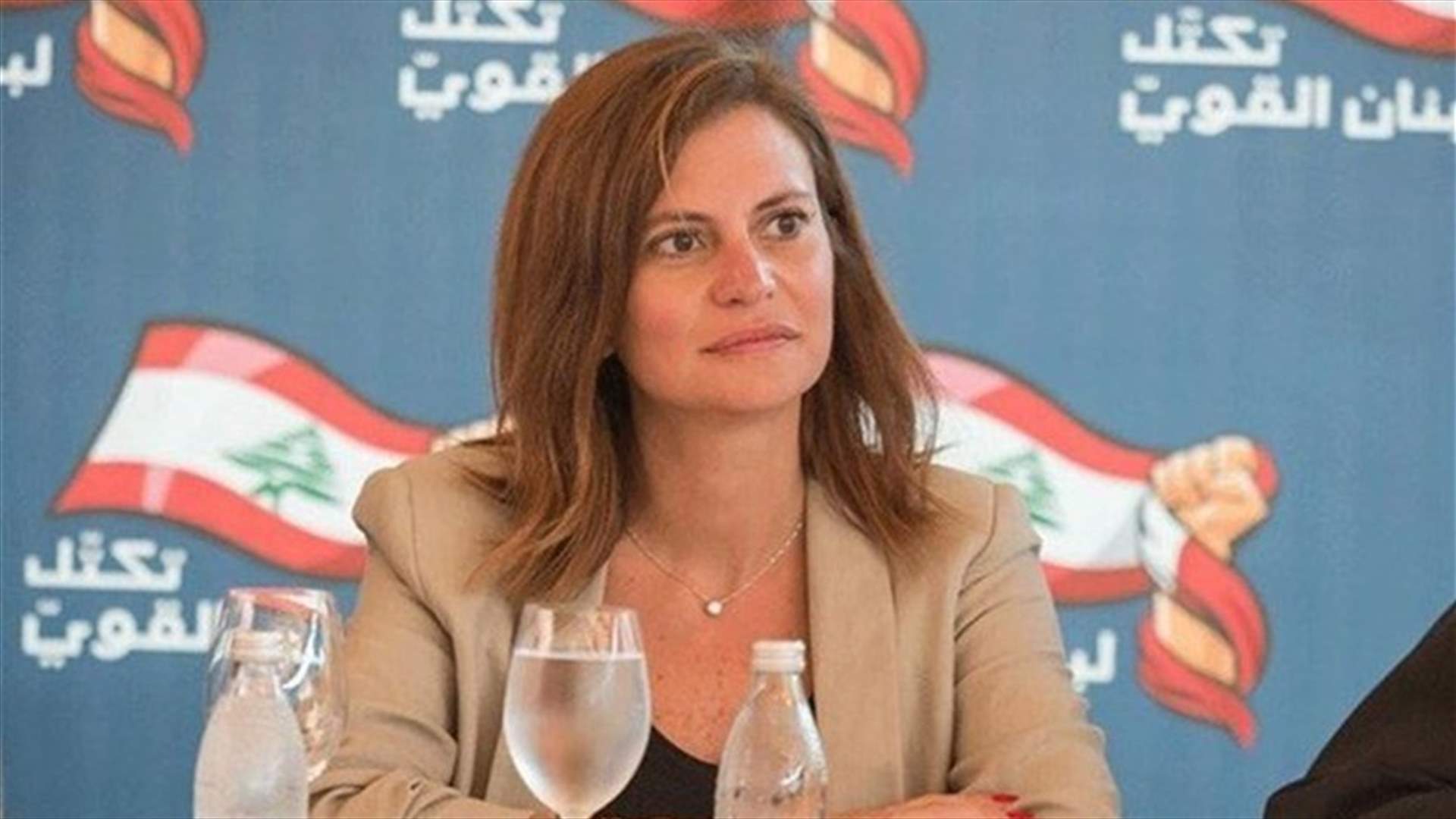 بستاني: استغرب الكمّ الهائل من الانفعال والحقد الشخصي الذي توجه به حبشي لي ولزملائي