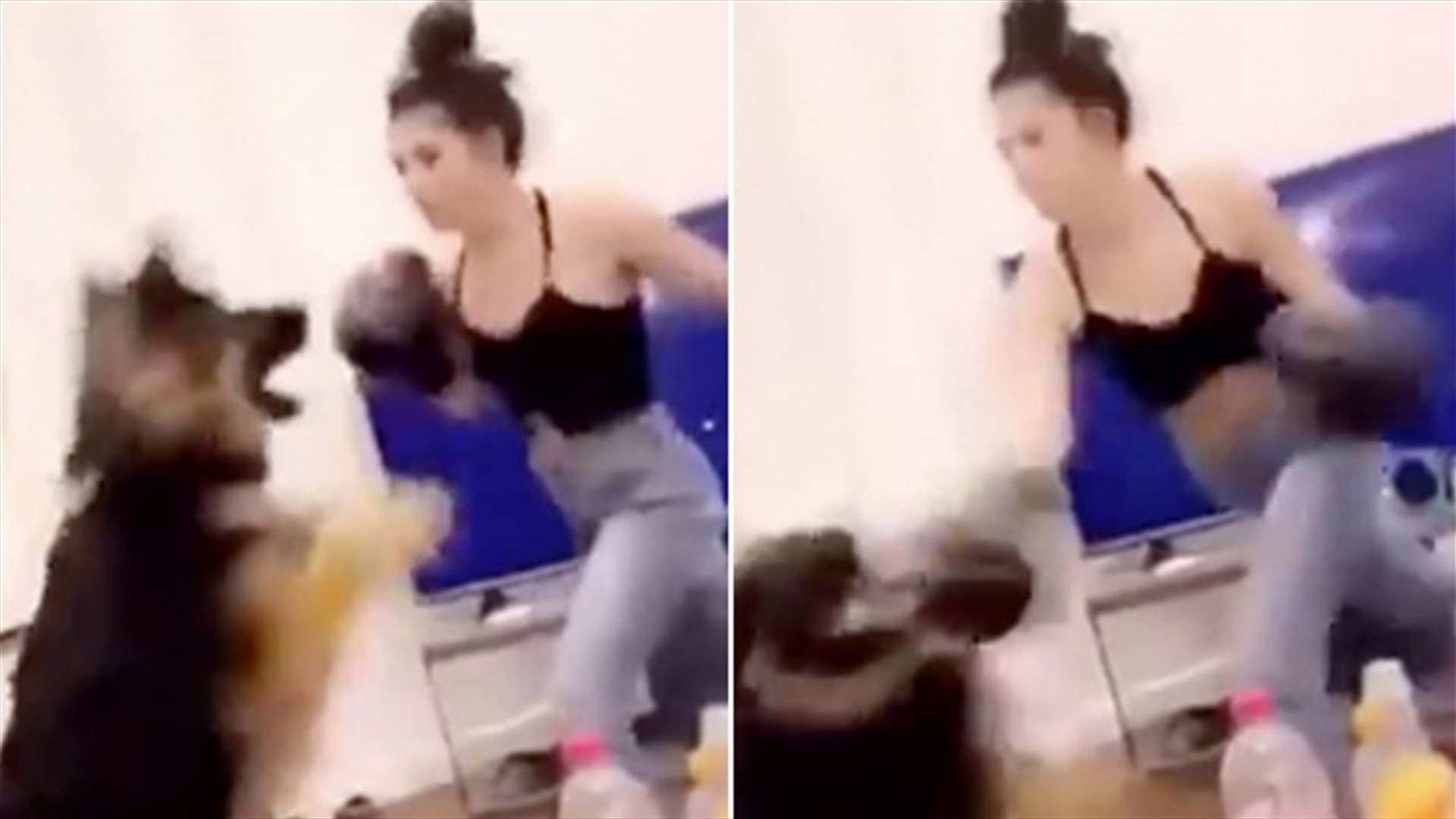 أميركية تمارس الملاكمة على كلبها بوحشية... والشرطة تفتح تحقيقاً بالحادثة (فيديو)