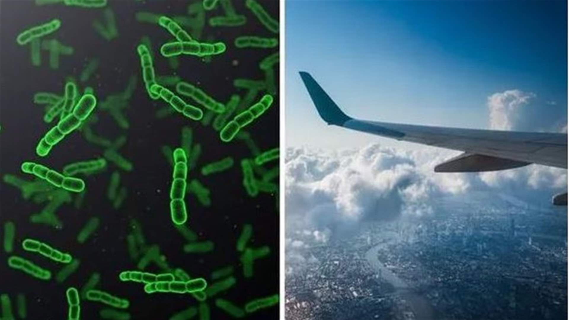 مضيفة طيران تكشف عن الأماكن الأكثر اتساخاً في الطائرة... فكيف تحمي نفسك من الجراثيم؟