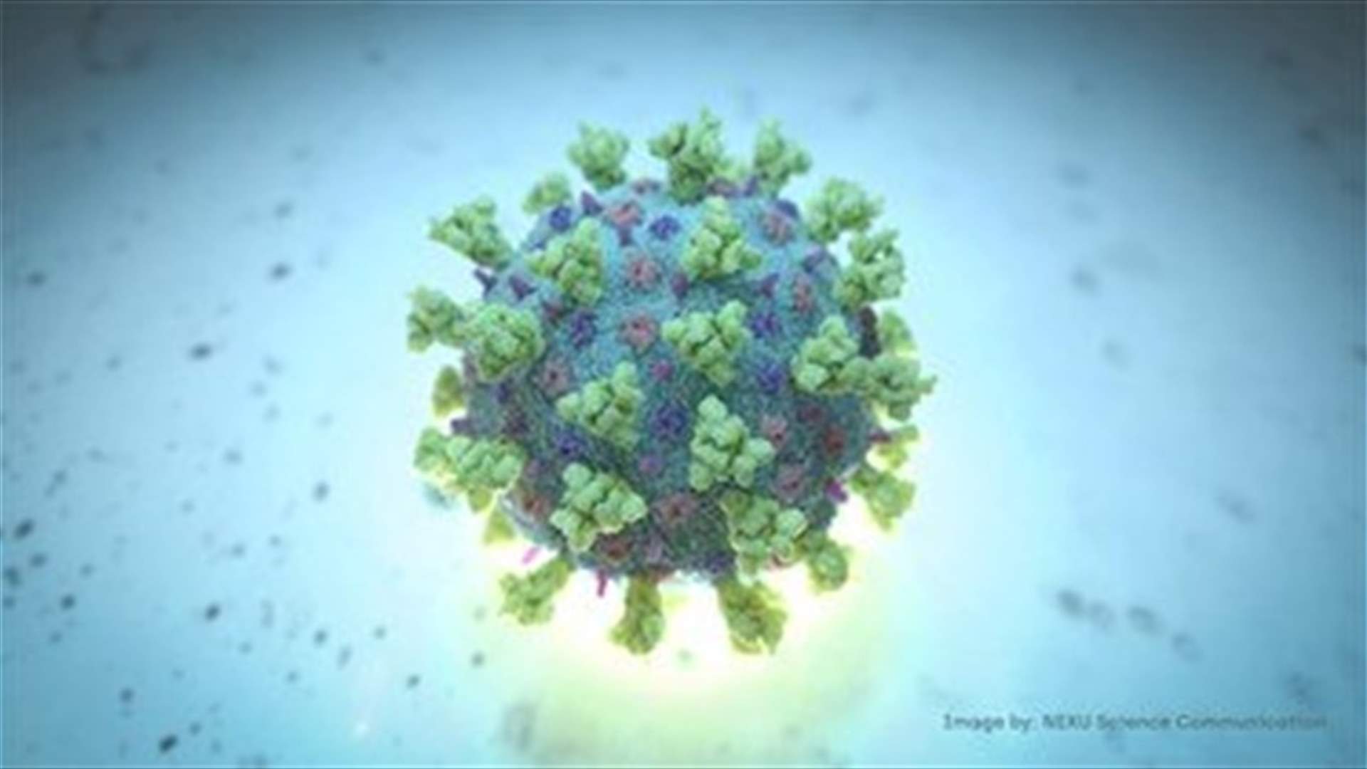 The daily report on coronavirus in Lebanon