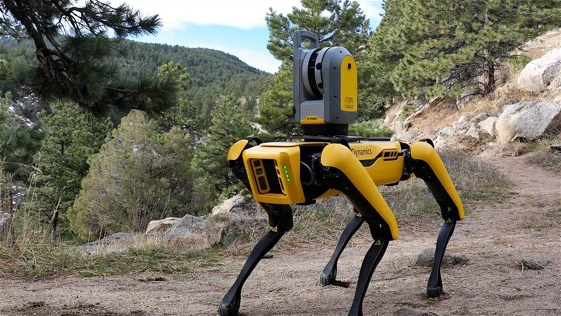 Roaming &#39;robodog&#39; politely tells Singapore park goers to keep apart