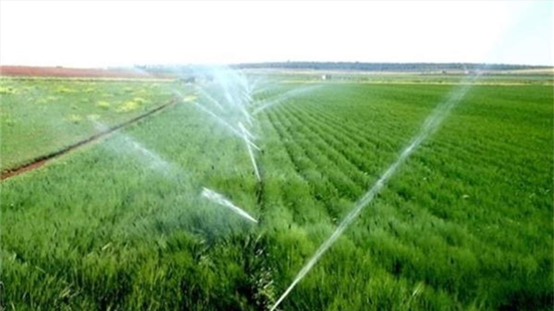 مصلحة الأبحاث: الحرارة قد تتجاوز 30 الاسبوع المقبل... وعلى المزارعين التحضر لري مزروعاتهم