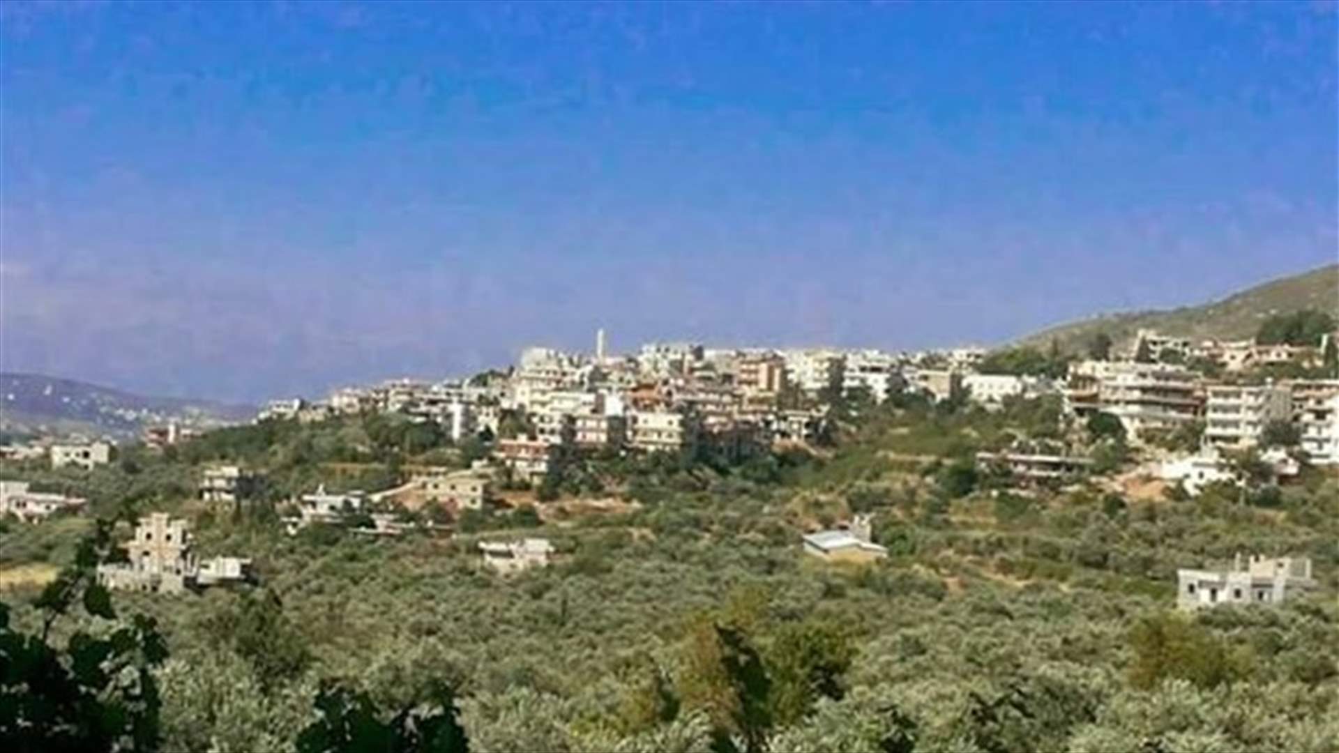 دوريات للجيش عند مداخل جديدة القيطع وفي شوارعها...