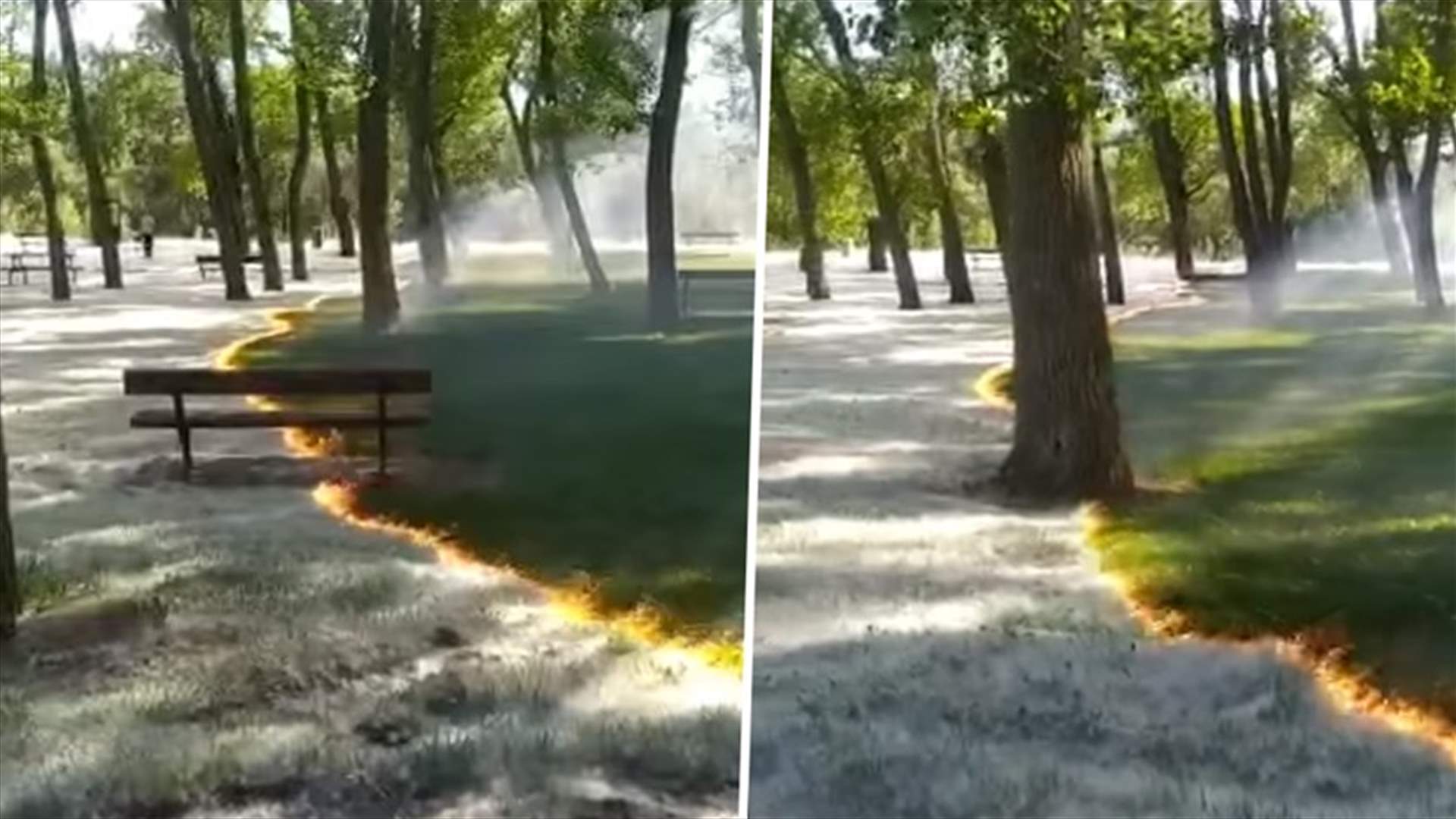 فيديو غريب... حريق يلتهم حديقة كبيرة من دون المس بالأعشاب والأشجار (فيديو)