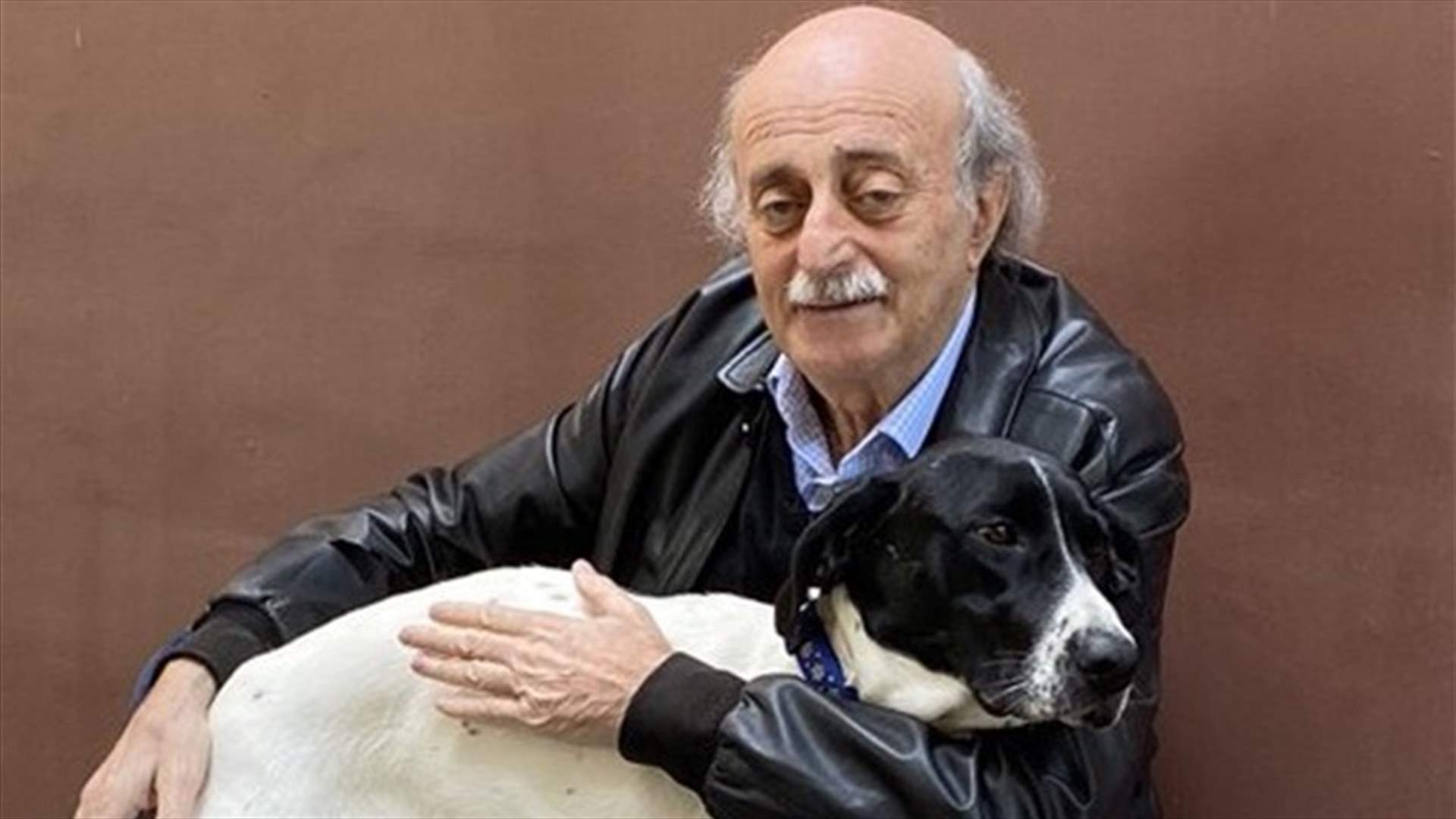 جنبلاط يغرد عن "مجزرة بحق الكلاب"