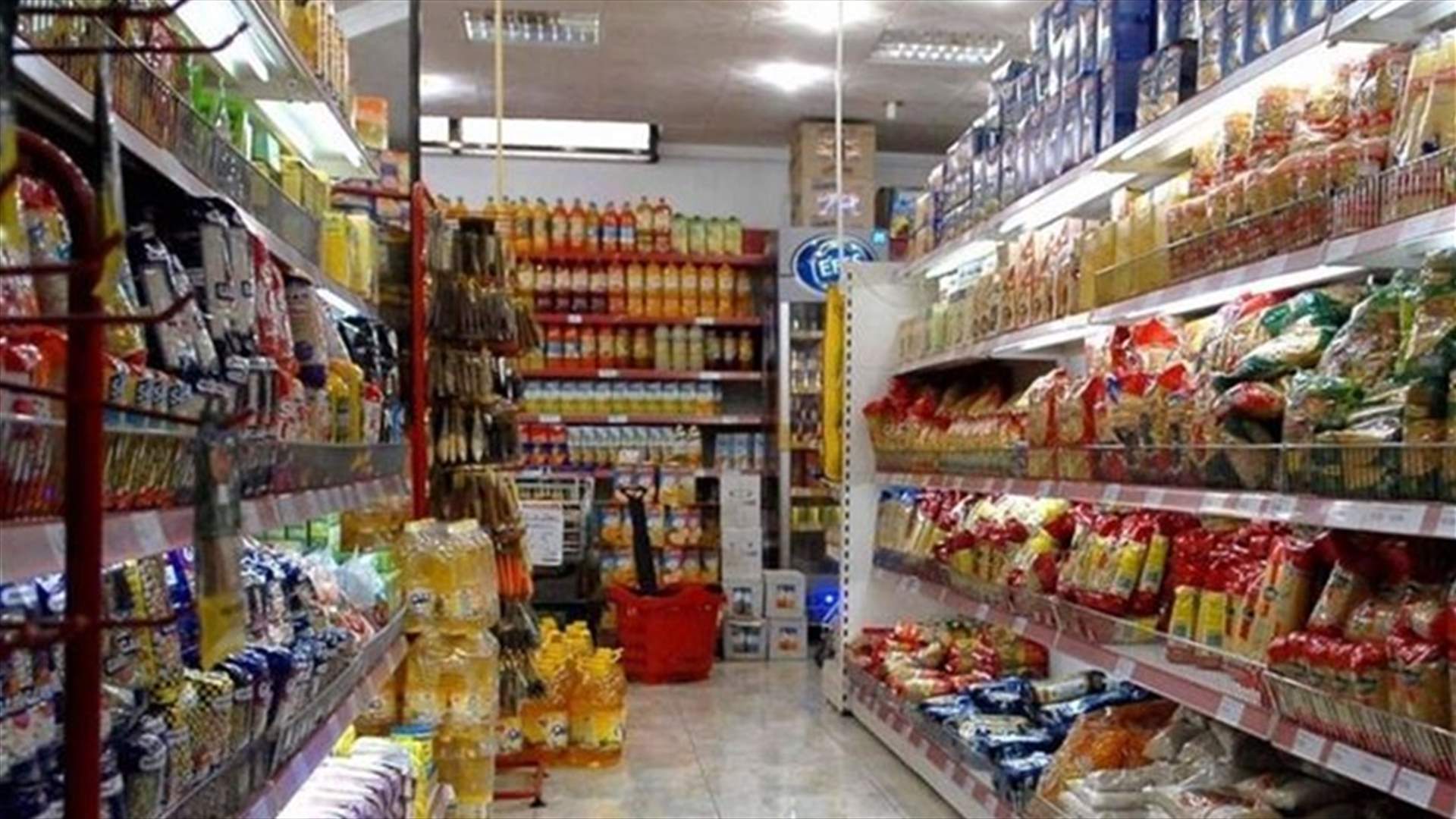 رئيس نقابة مستوردي المواد الغذائية: القطاع يواجه صعوبات والمطلوب استراتيجية شاملة للحفاظ على الأمن الغذائي