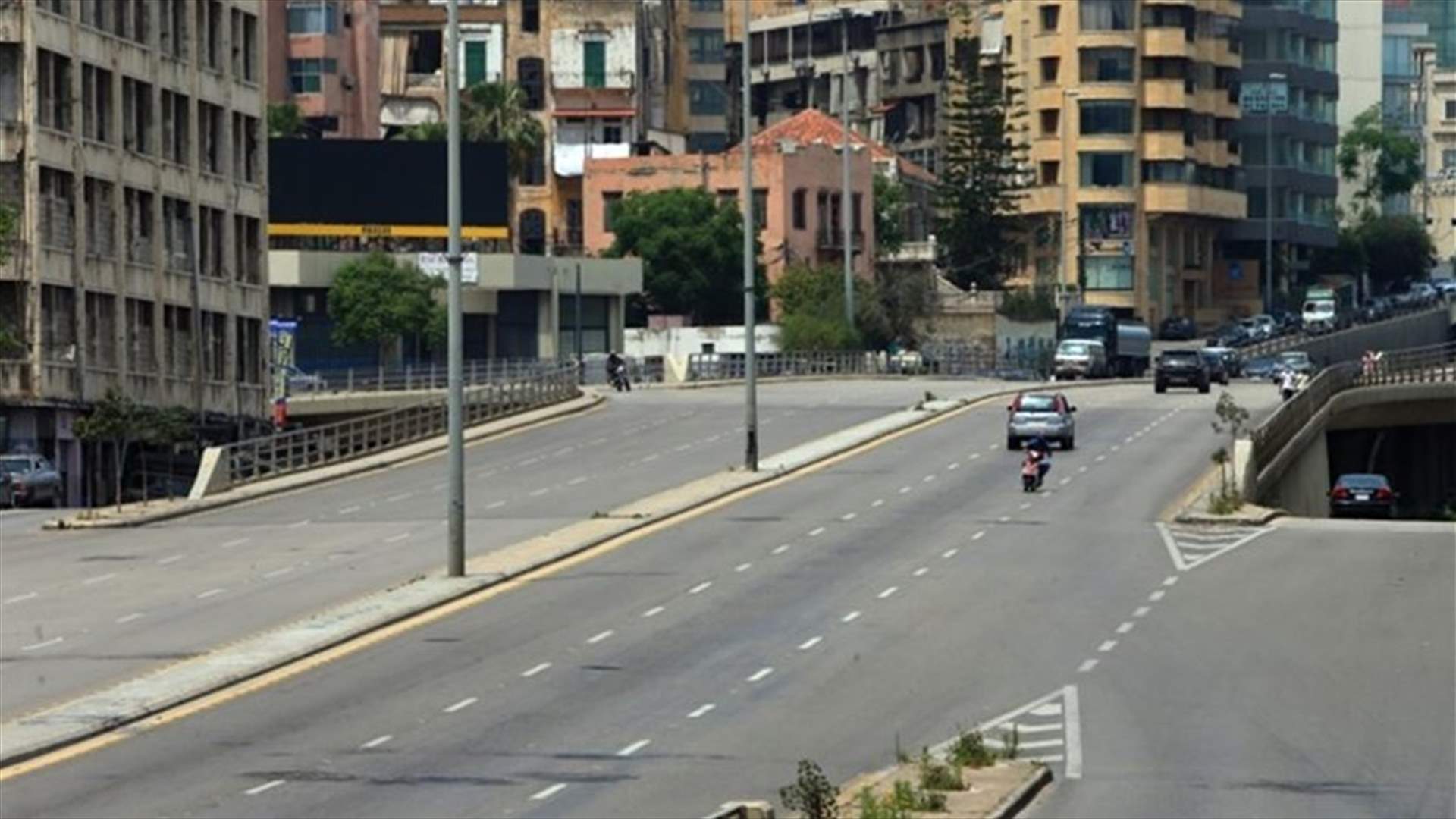 موجة انتشار اسراب الحشرات في لبنان.. تابع