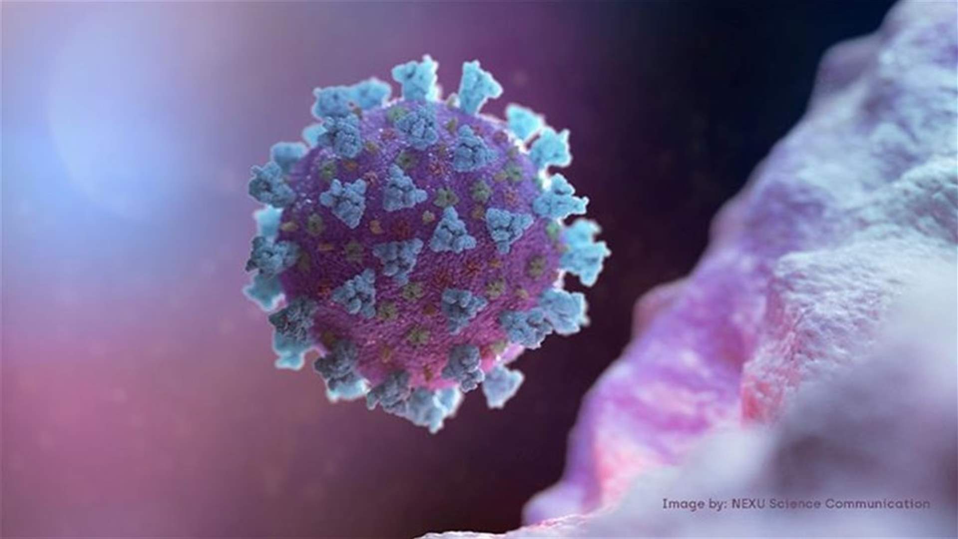 The daily report on coronavirus in Lebanon