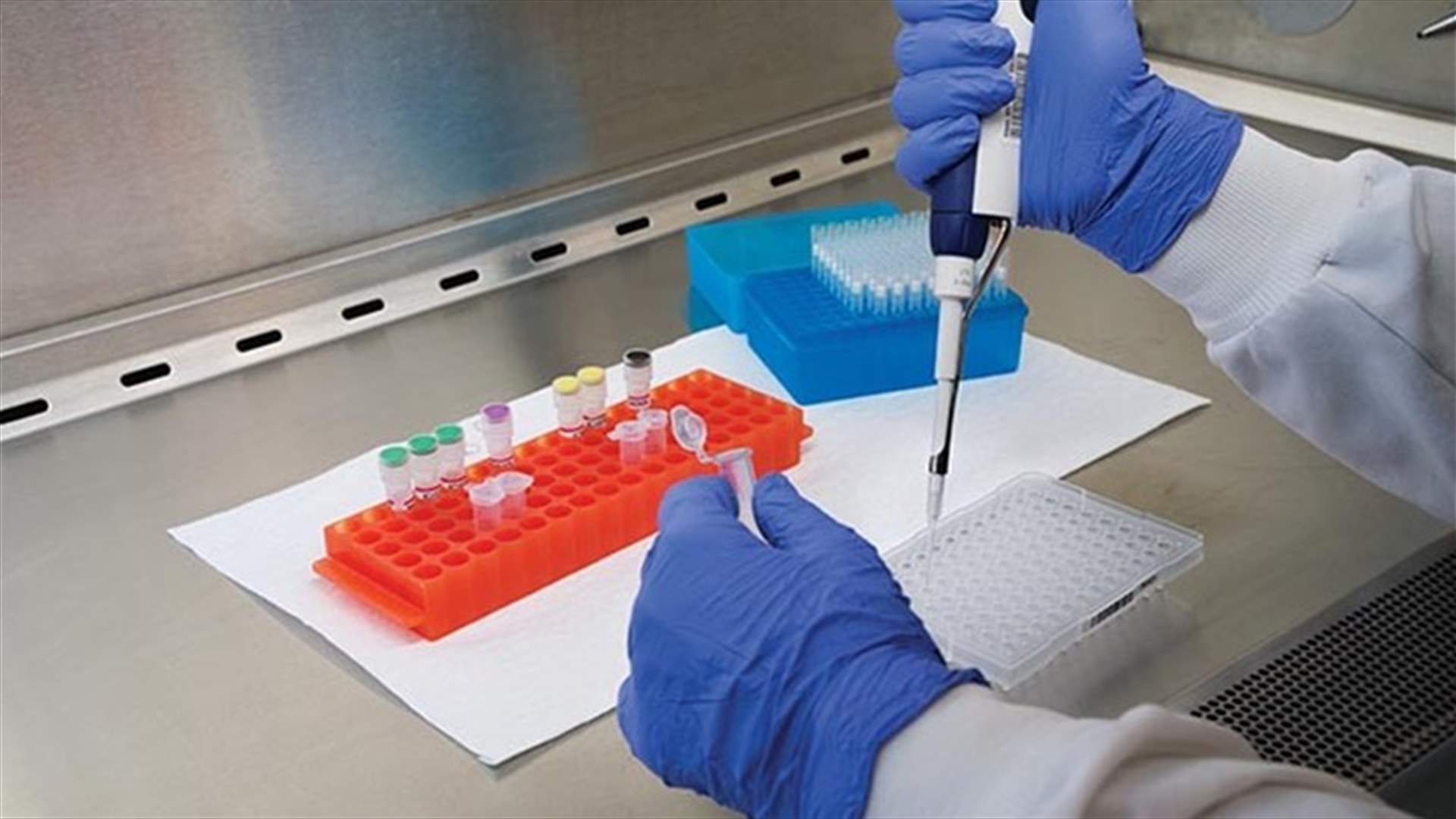 بلدية كوسبا: نتائج فحوصات الـ PCR الـ 18 للمخالطين سلبية