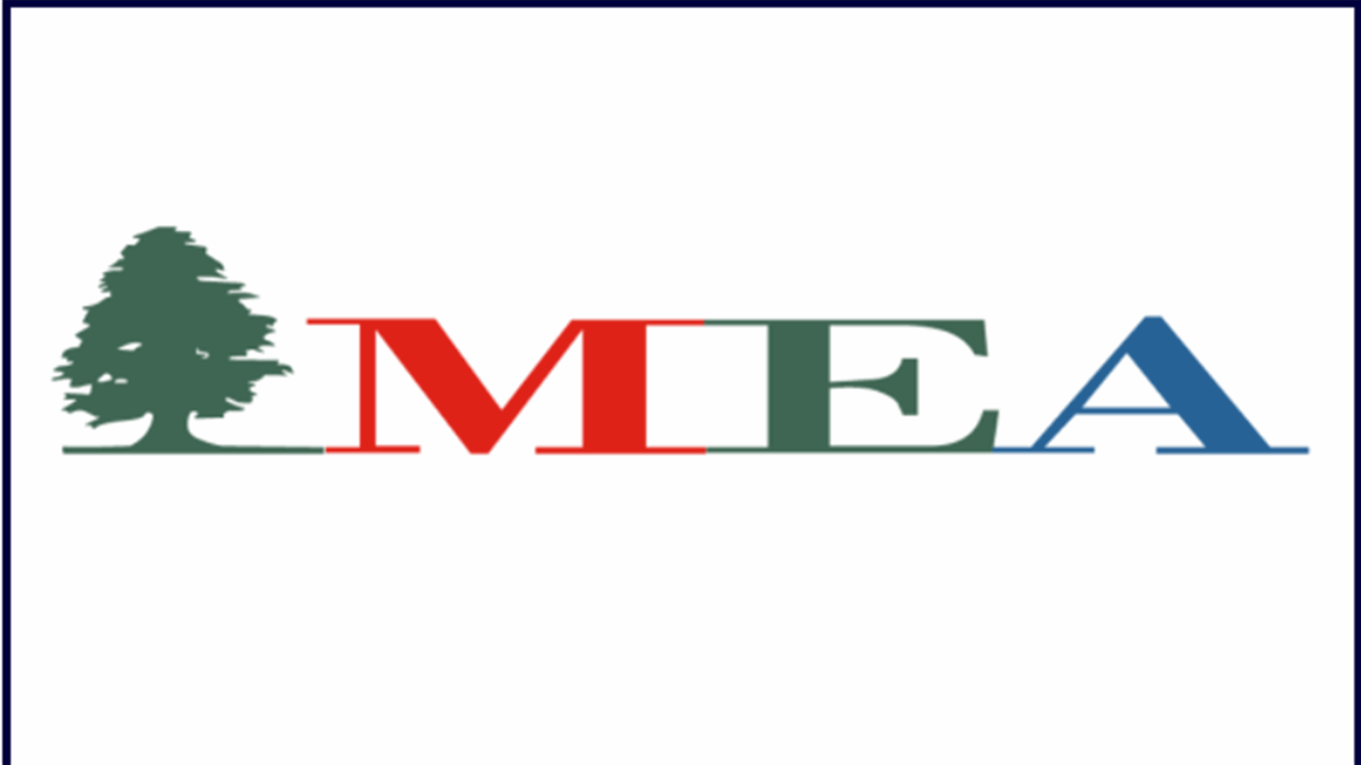 6 رحلات اليوم  للـMEA تعيد لبنانيين من الخارج...