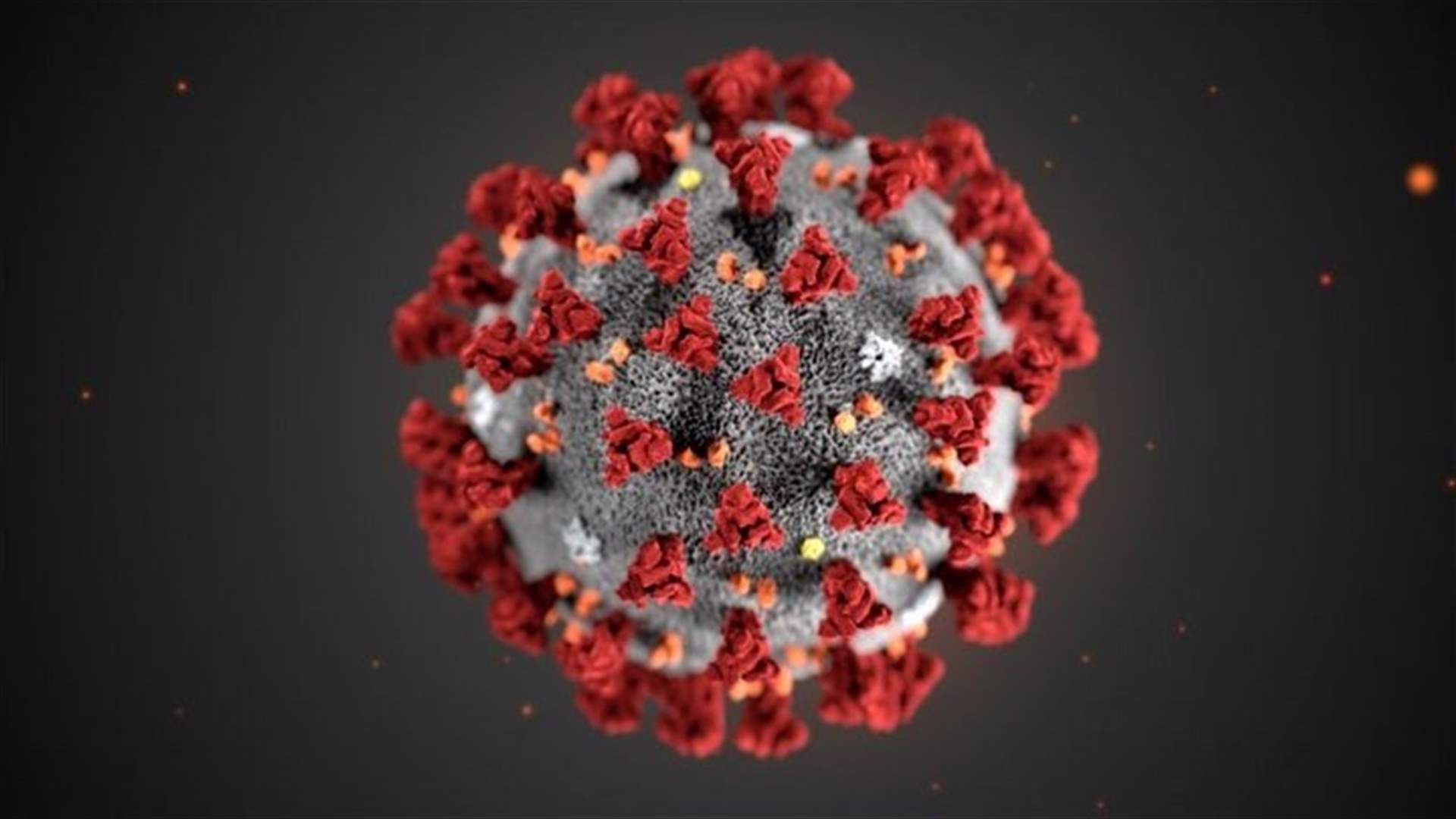 The daily report on coronavirus in Lebanon