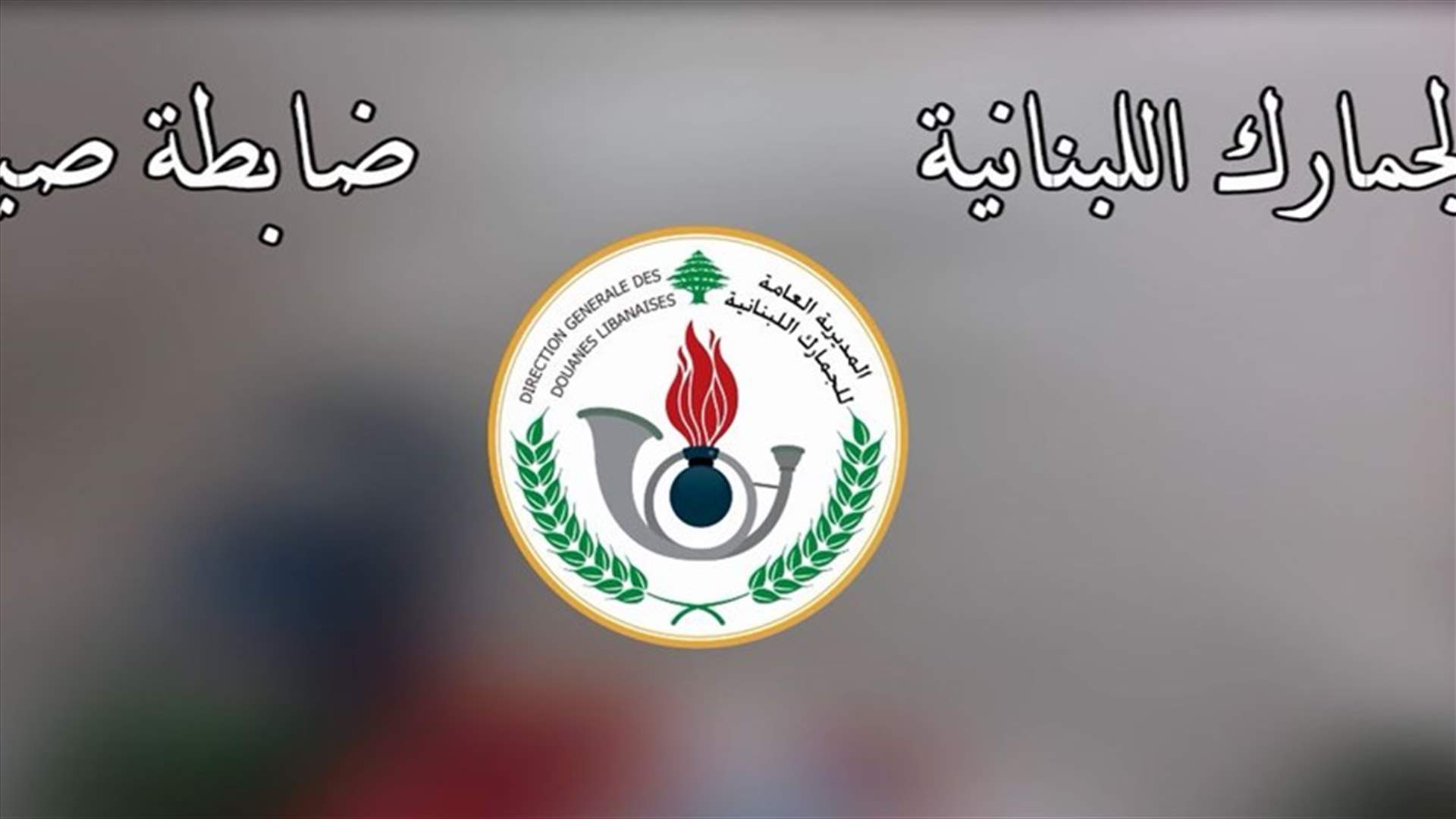 الجمارك تتابع ضبط المواد المزوّرة... إليكم آخر عملياتها (فيديو)