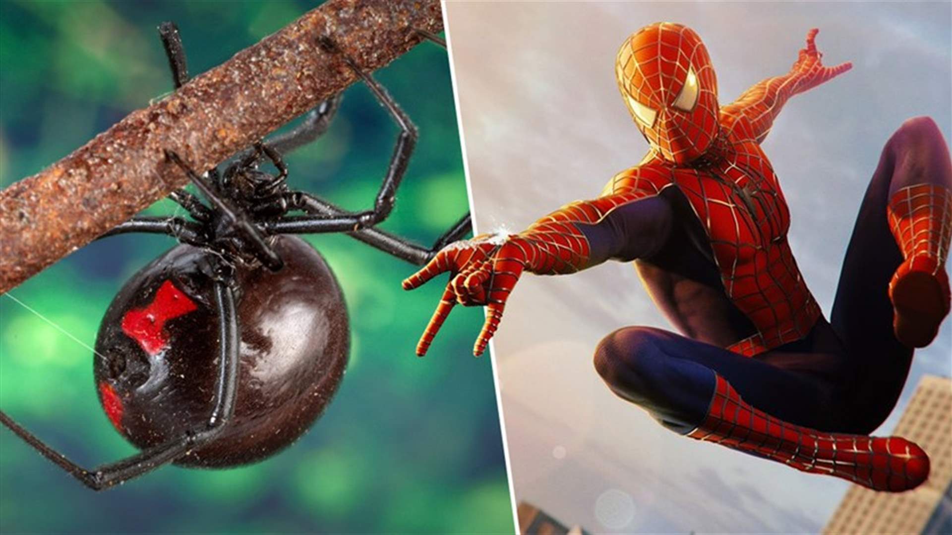 عرّضوا أنفسهم للدغة العنكبوت كي يتحوّلوا الى Spider-Man