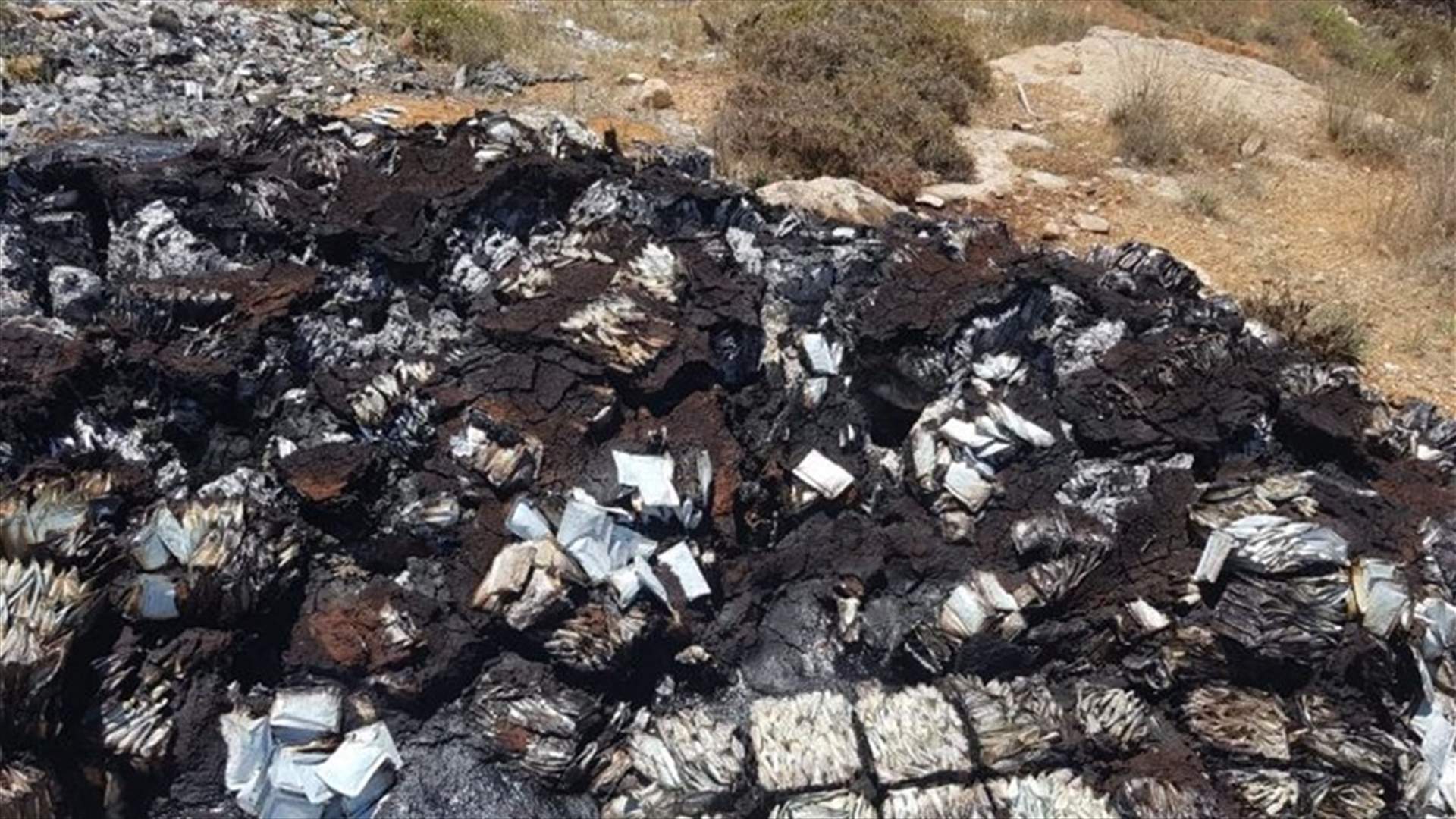 نفايات طبية بين بعلبك ونحلة... والبلدية تتحرك