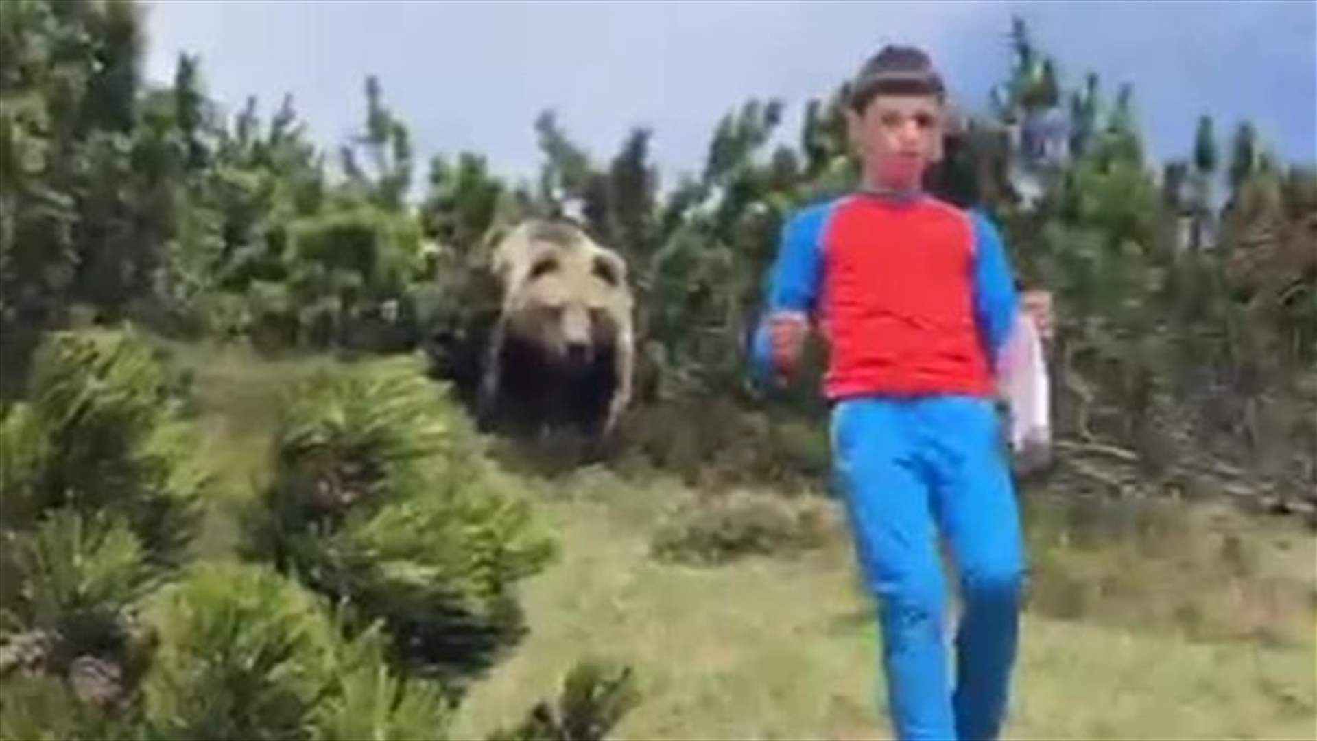 فيديو لدب يلاحق صبياً في غابة يجتاح مواقع التواصل الإجتماعي