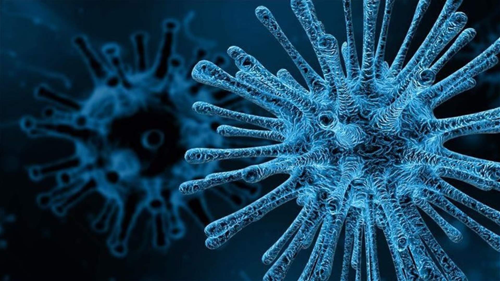 إصابة أمير بلجيكي بكورونا بعد حضوره حفلا في إسبانيا