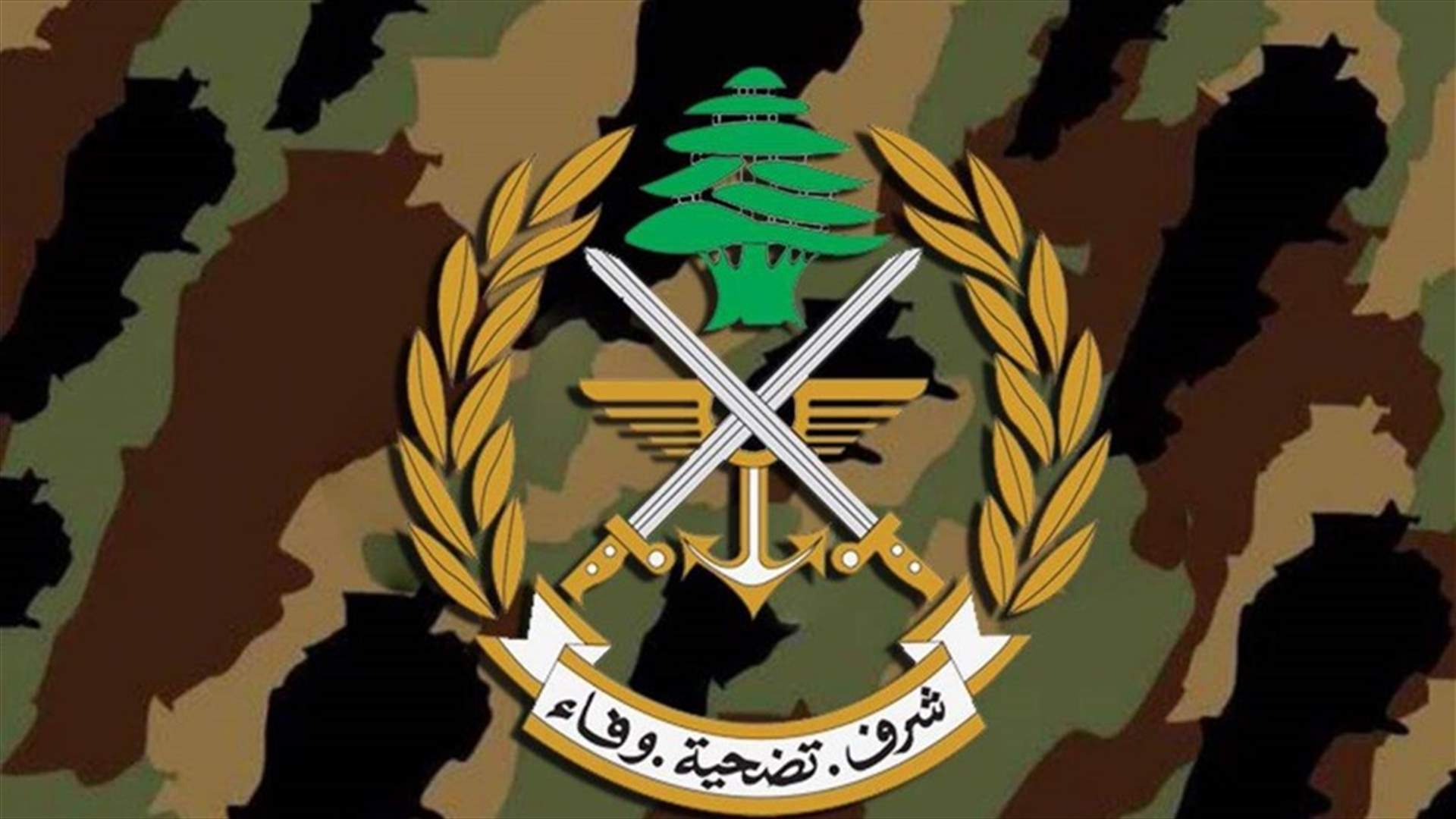 الجيش: طيران إسرائيلي فوق الجنوب أمس