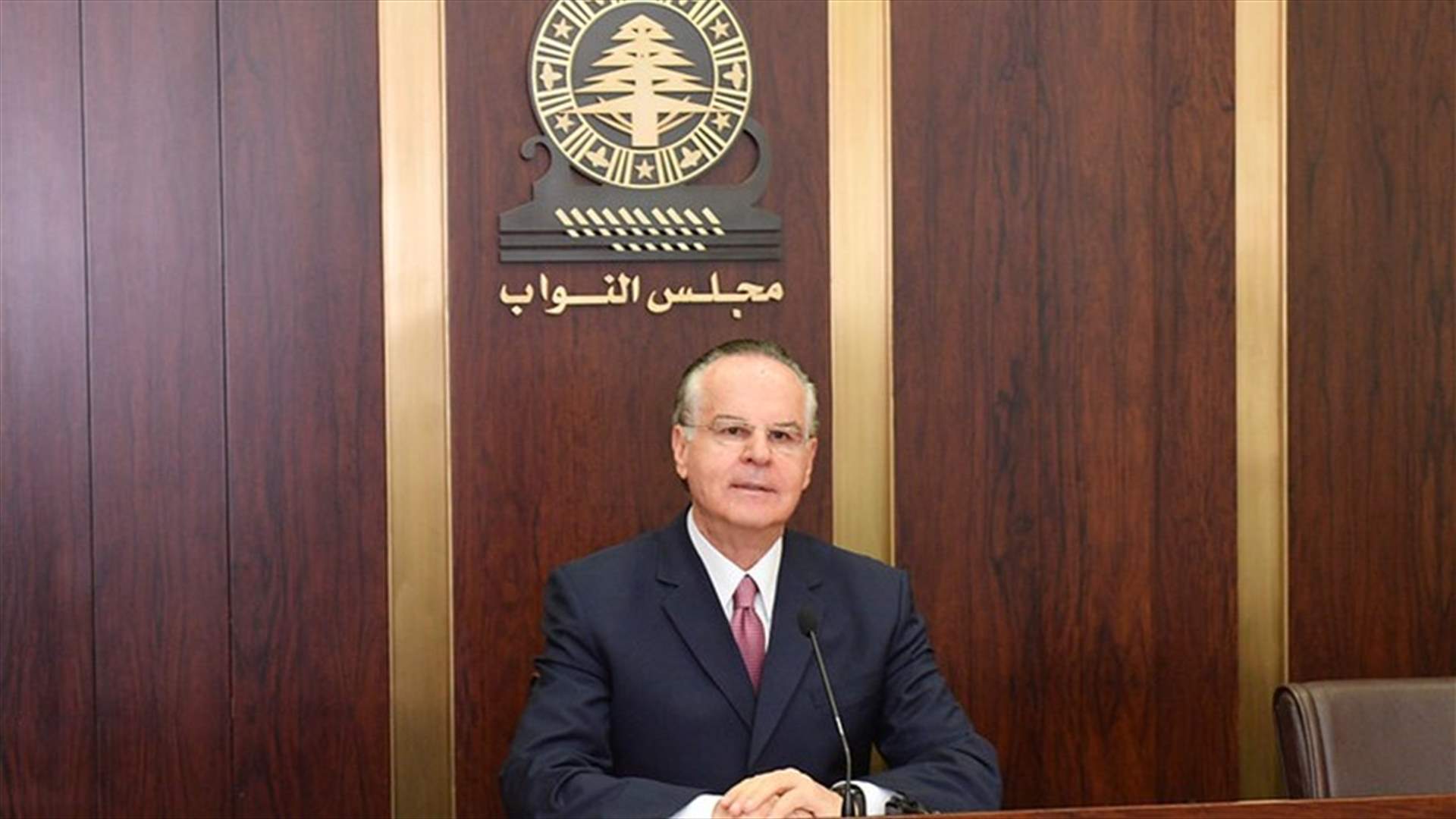 عدوان عن التعيينات: مشكلتنا ليست بالدستور والقوانين