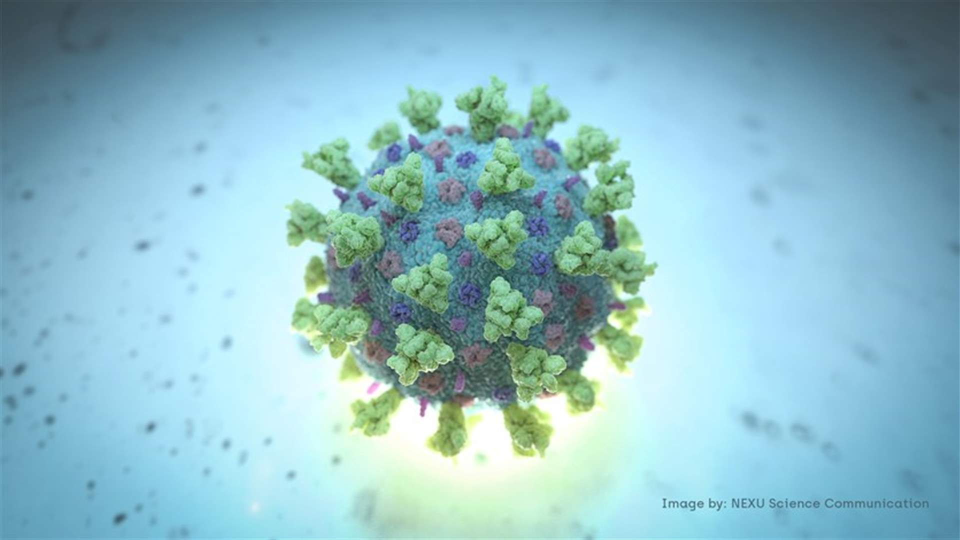 The daily report on coronavirus in Lebanon