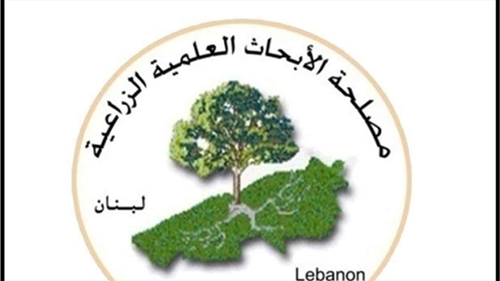 مصلحة الأبحاث العلمية الزراعية: موجة حر متوقعة بدءًا من الغد حتى الأربعاء