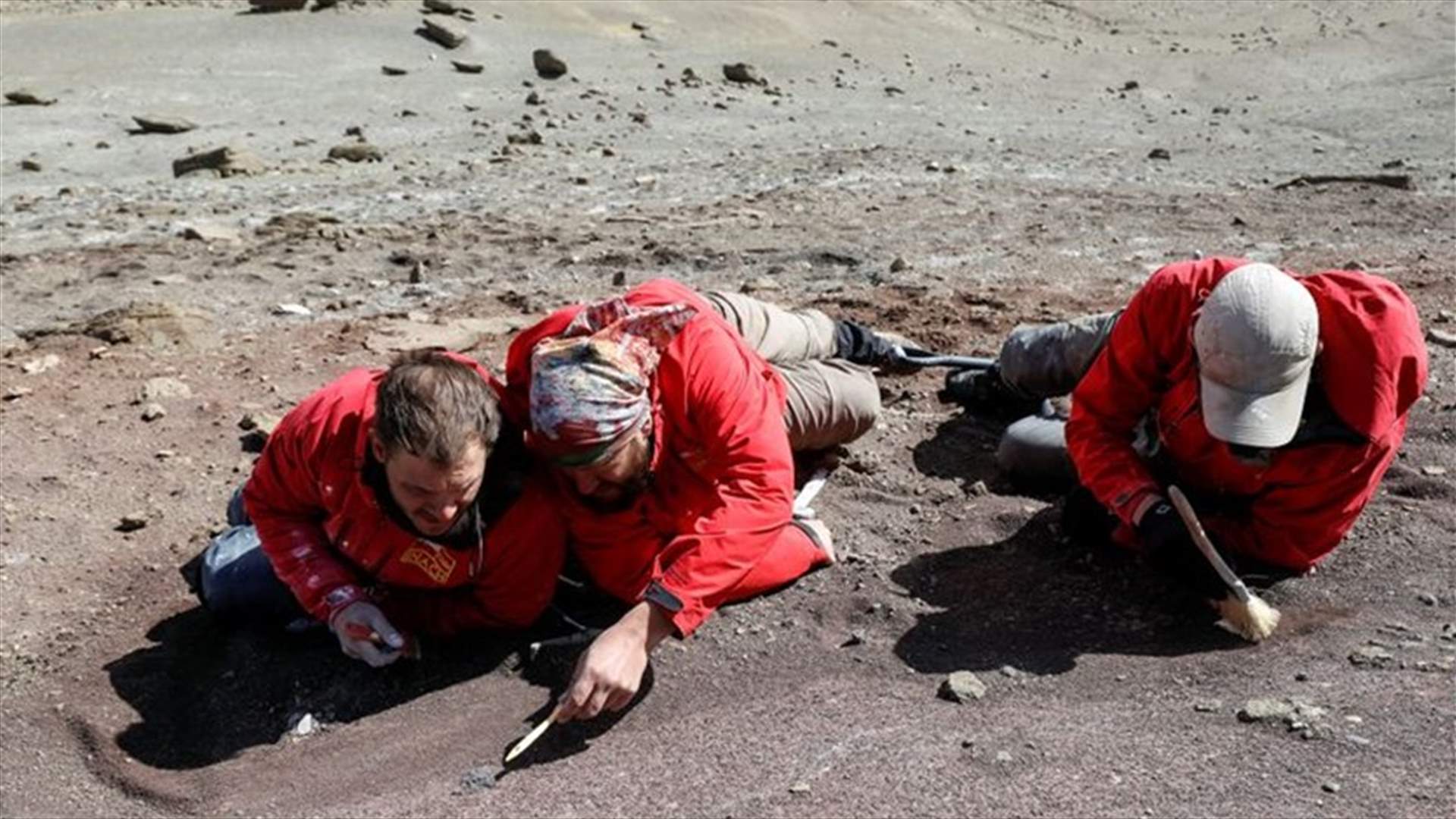 علماء يعثرون على أسنان حيوان عاش قبل 74 مليون عاماً!