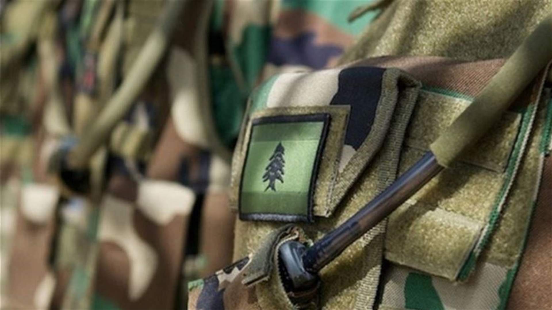 الجيش: طيران ليلي بين القواعد الجوية الاسبوع المقبل