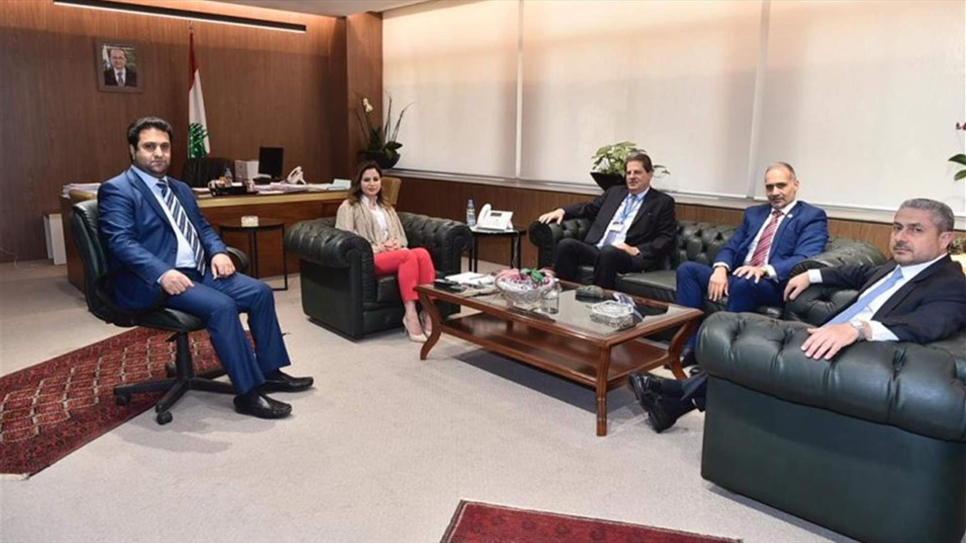 وزيرة الإعلام استقبلت وفداً من مالكي العقارات المؤجرة... إليكم التفاصيل