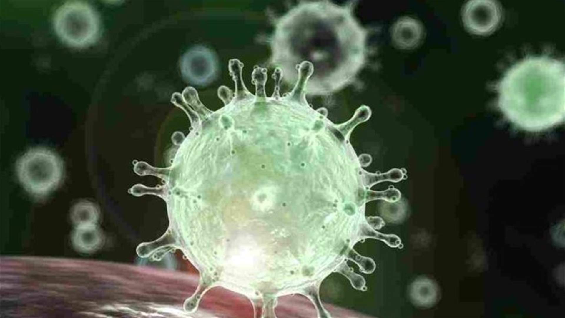 Ministry of Health: 9 new Coronavirus cases registered in Lebanon