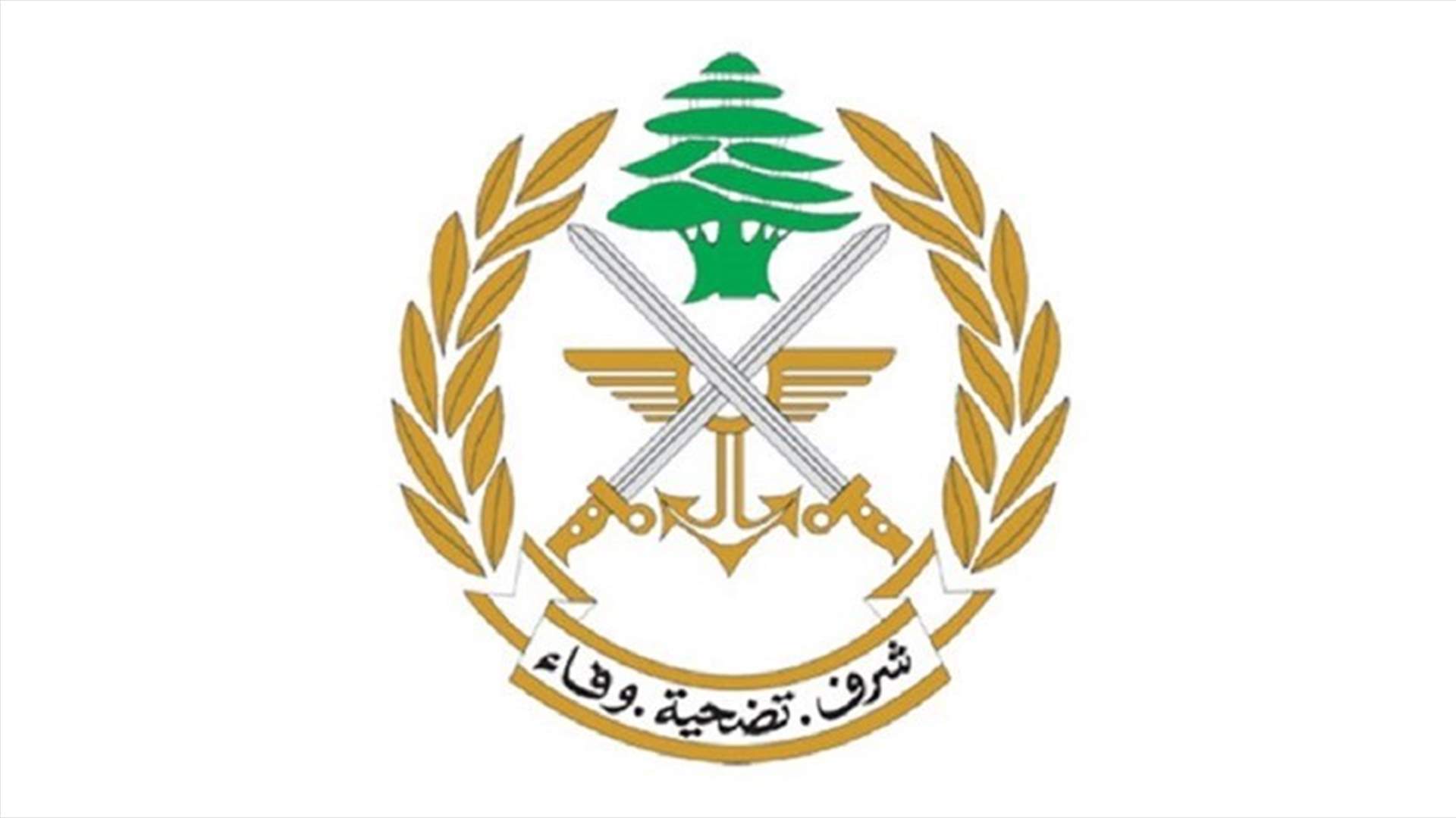 إشكال في بلدة السودا - البقاع... والجيش يتدخل ويتعرض لإطلاق نار