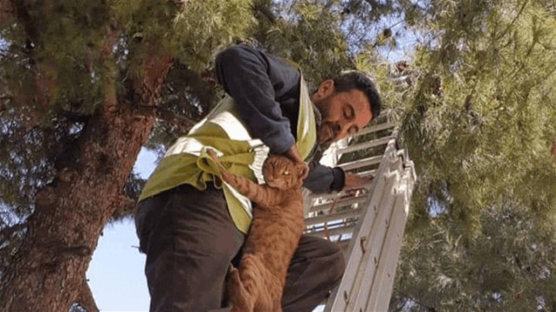 عملية انقاذ من نوع آخر في بلدة حرار...