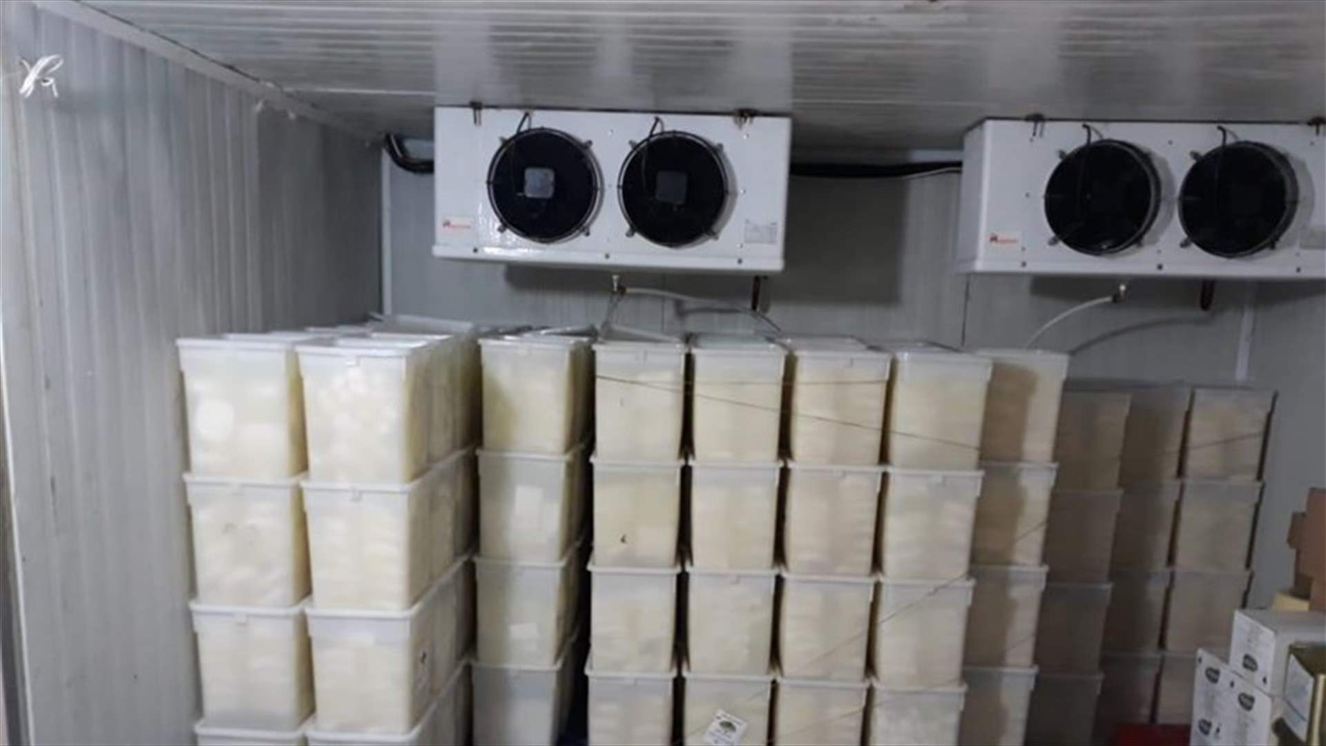 ضبط براد أجبان وألبان مهرّب في صيدا غير مطابق للمواصفات