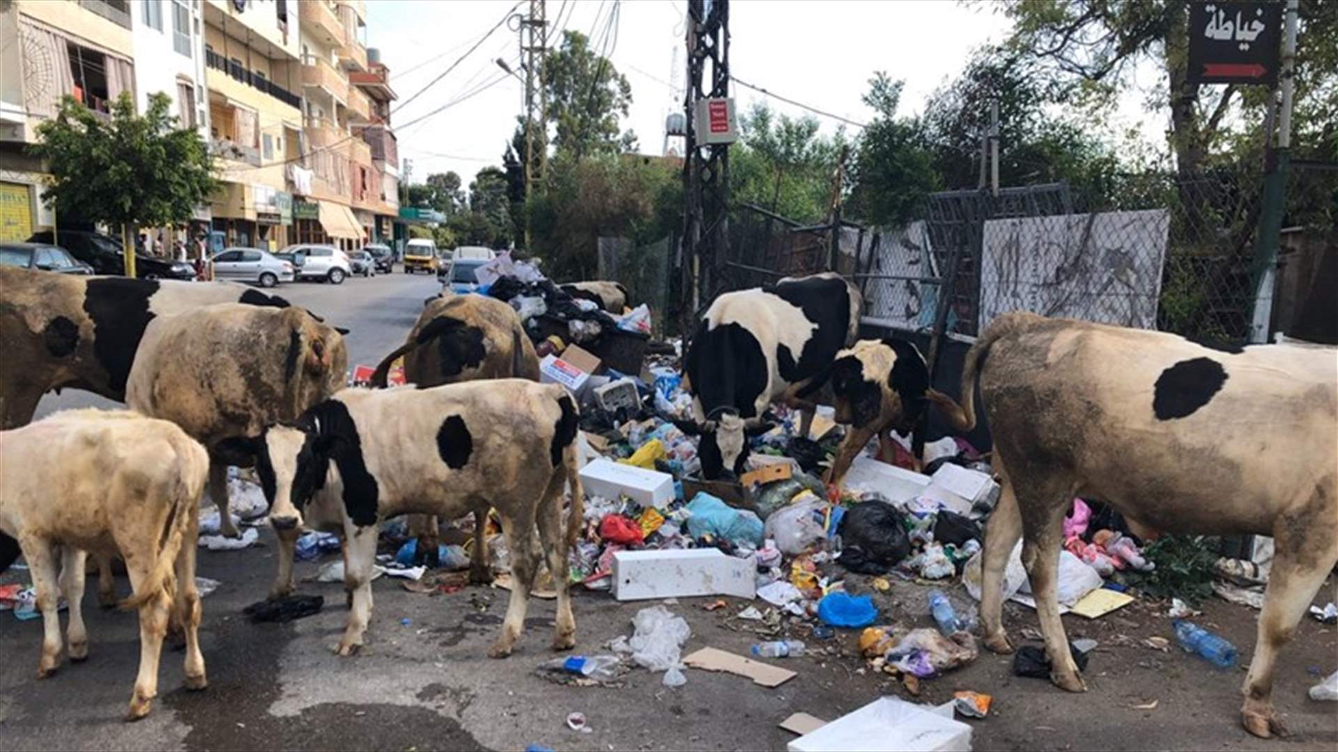 رئيس بلدية البرج الشمالي: لاعادة تشغيل معمل فرز النفايات في عين بعال