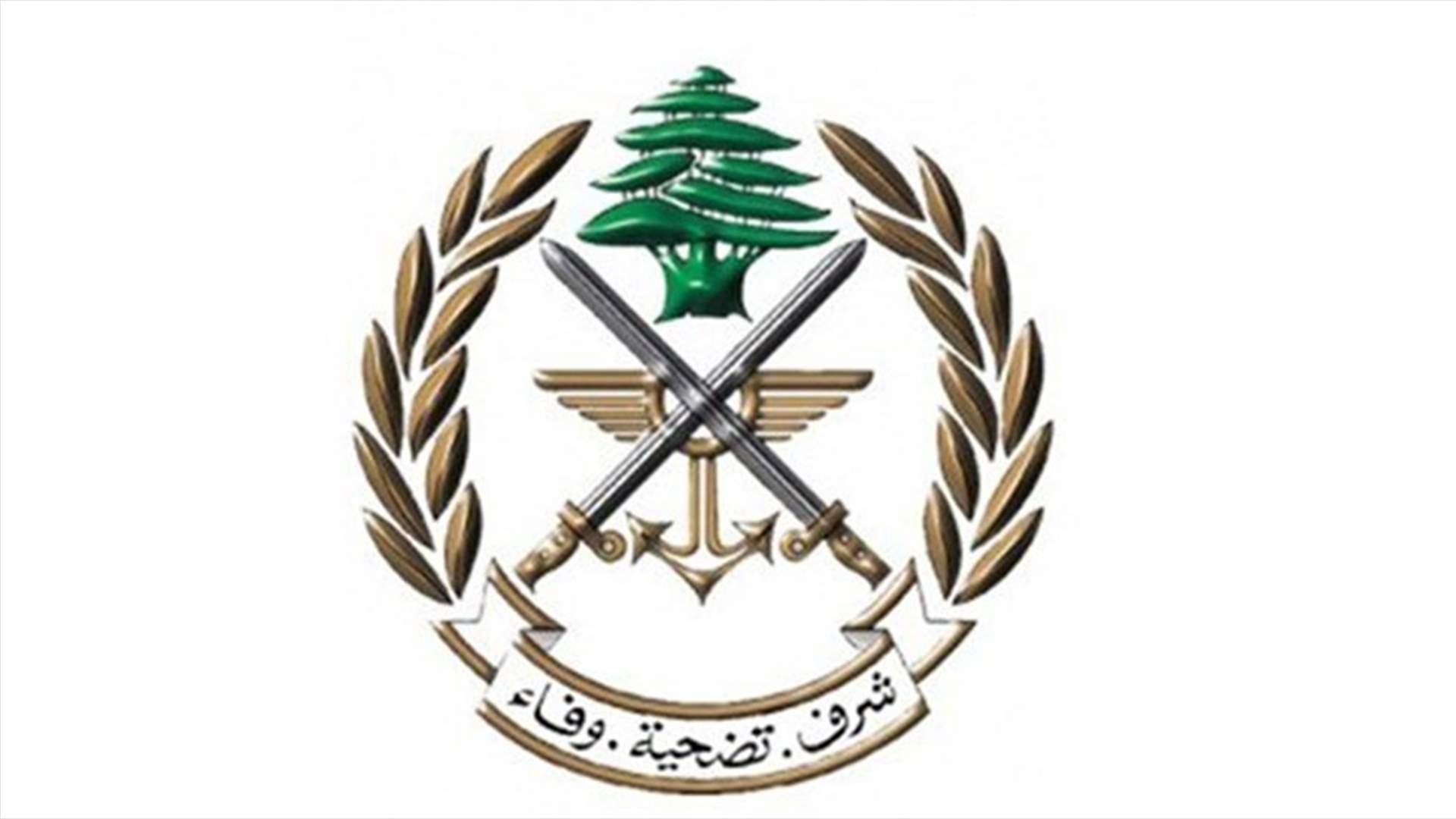 الجيش: تمارين تدريبية جنوبا وتفجير ذخائر في حولا وعمرا