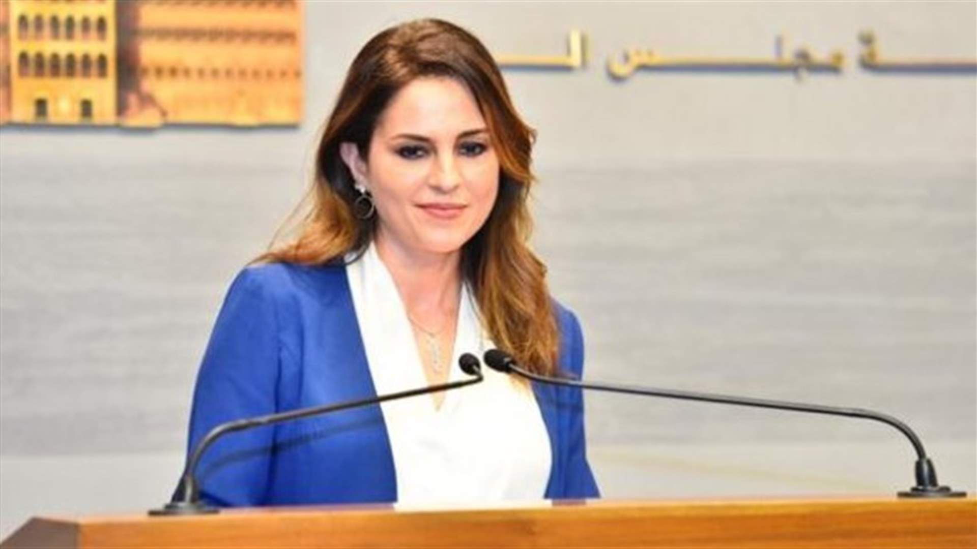 عبد الصمد تقترح فكرة... وتطلب رأي اللبنانيين عبر تويتر