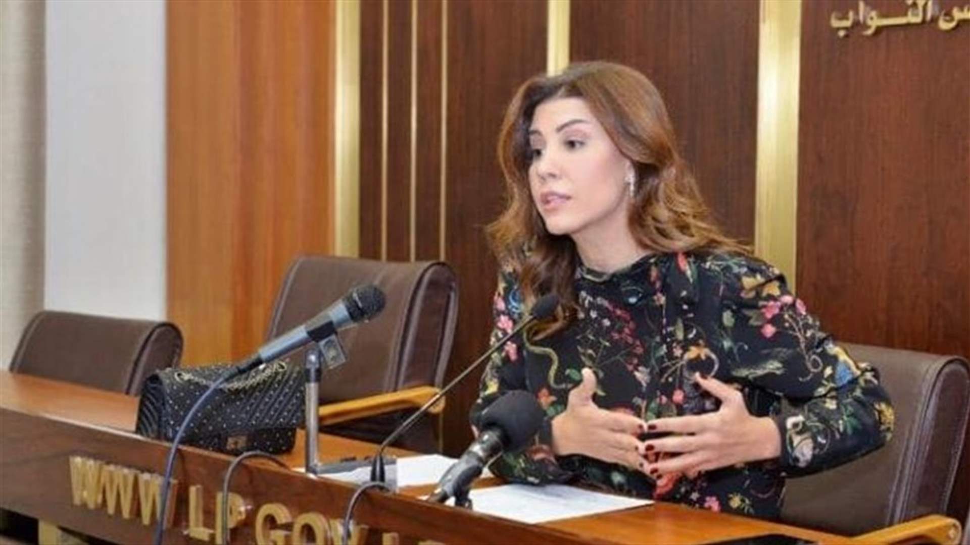 يعقوبيان: سأتقدم باقتراح قانون لزراعة أراضي الدولة