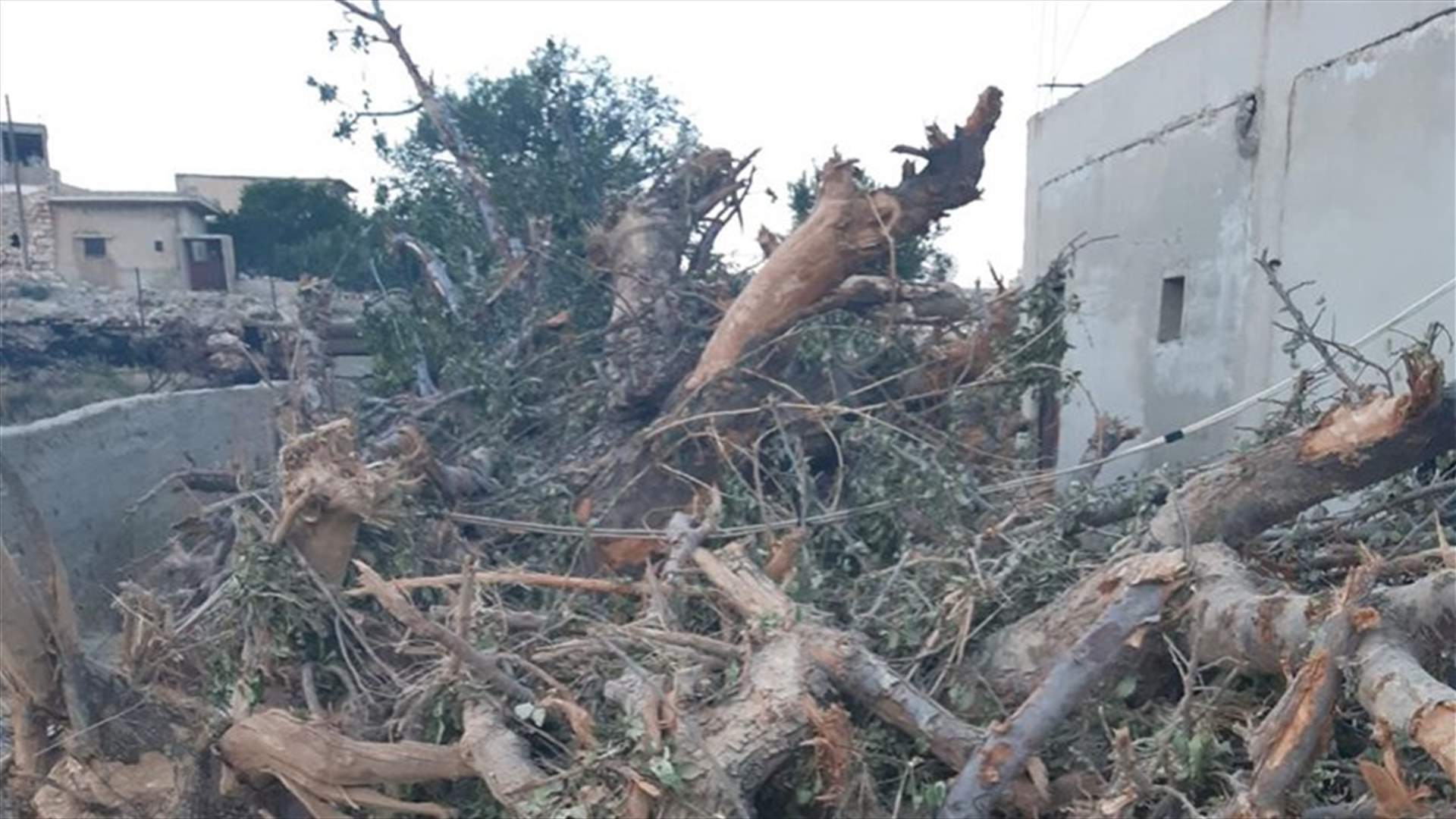 أهالي طفيل اشتكوا من أعمال جرف بساتين الأشجار المثمرة في البلدة