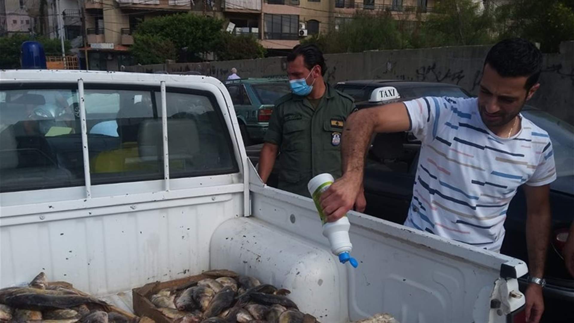 سمك ملوث في بيروت... مصادرة كميات كبيرة وتوقيف البائعين (صوَر)