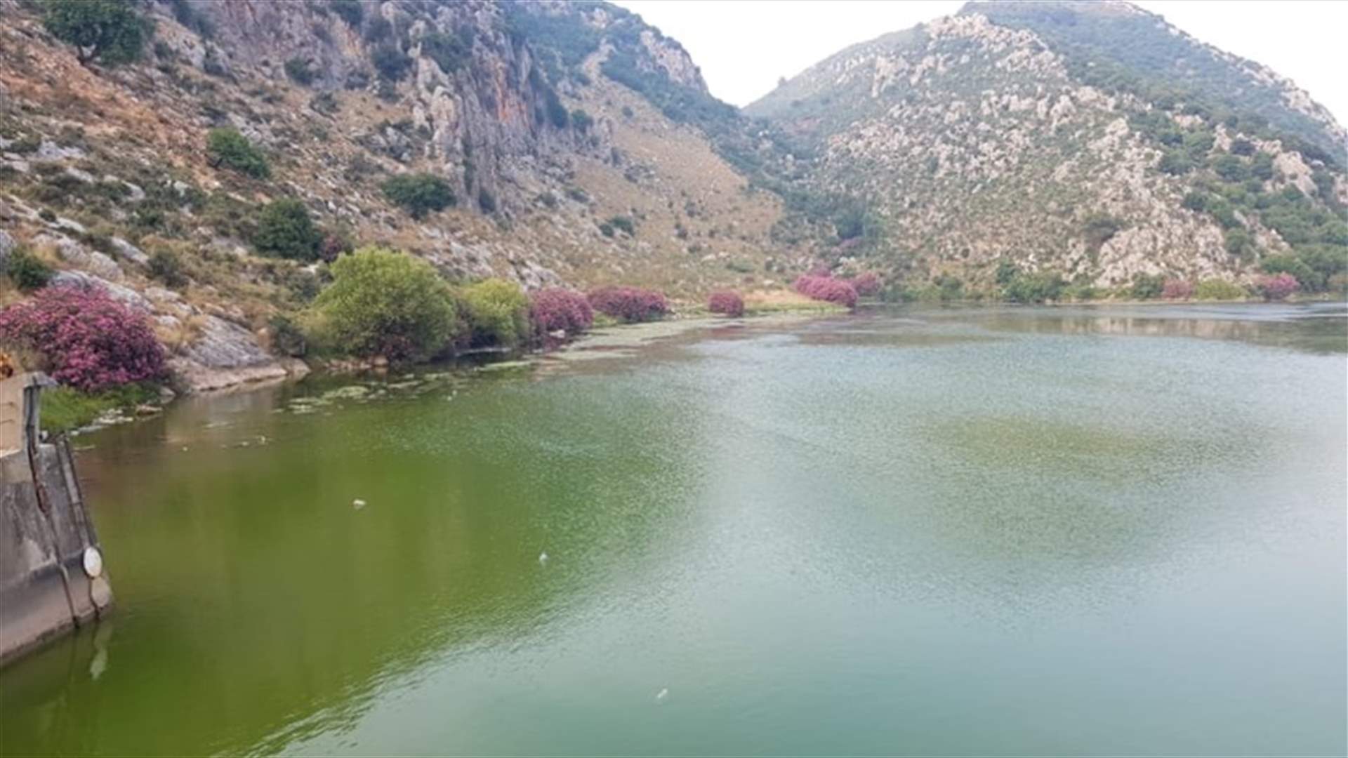 تحوّل لون مياه بحيرة عيون السمك إلى اللون الأخضر (صورة)