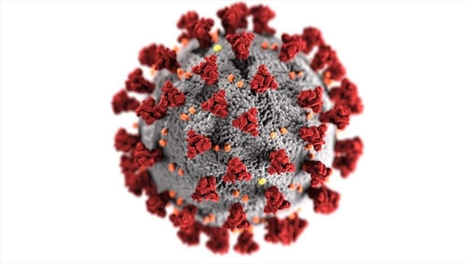 The daily report on coronavirus in Lebanon