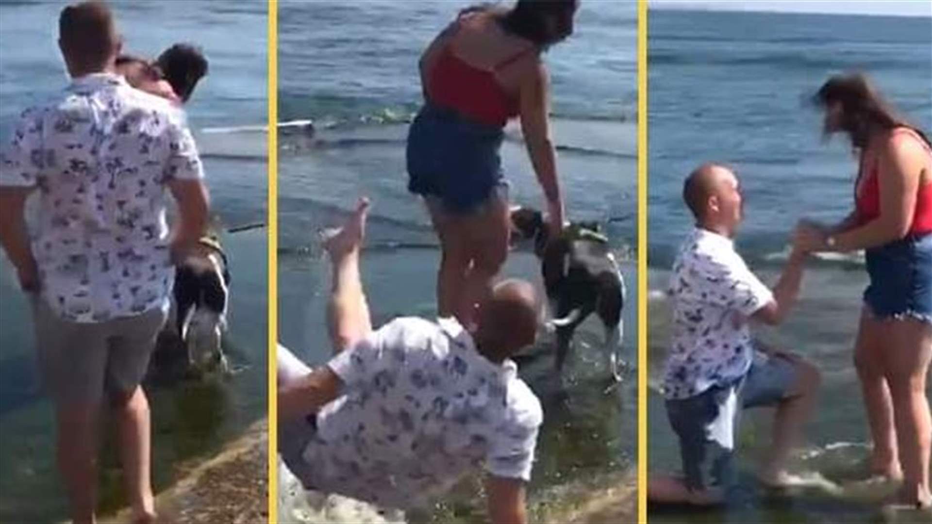 انزلق في البحيرة وهو يطلب يد حبيبته... عرض زواج يتحوّل إلى أجواءٍ كوميدية (فيديو)